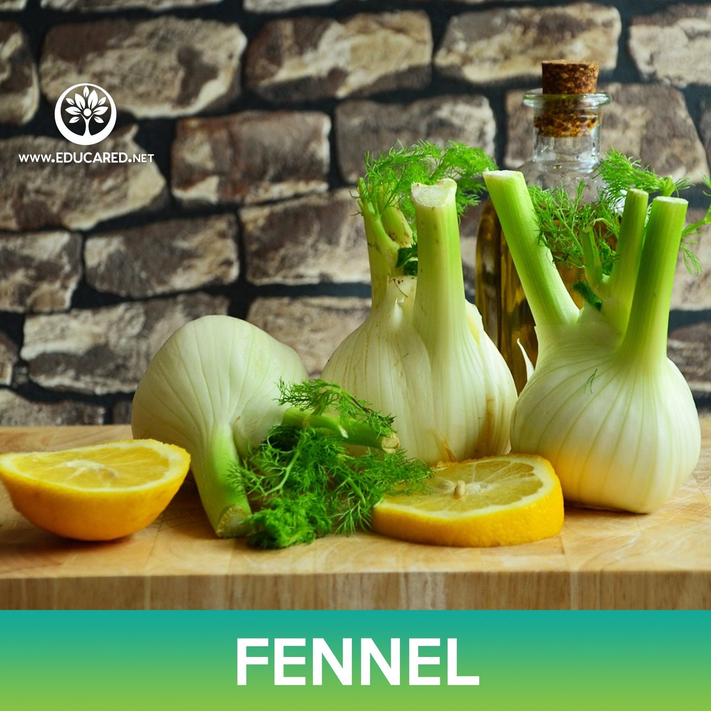 Fennel Seeds