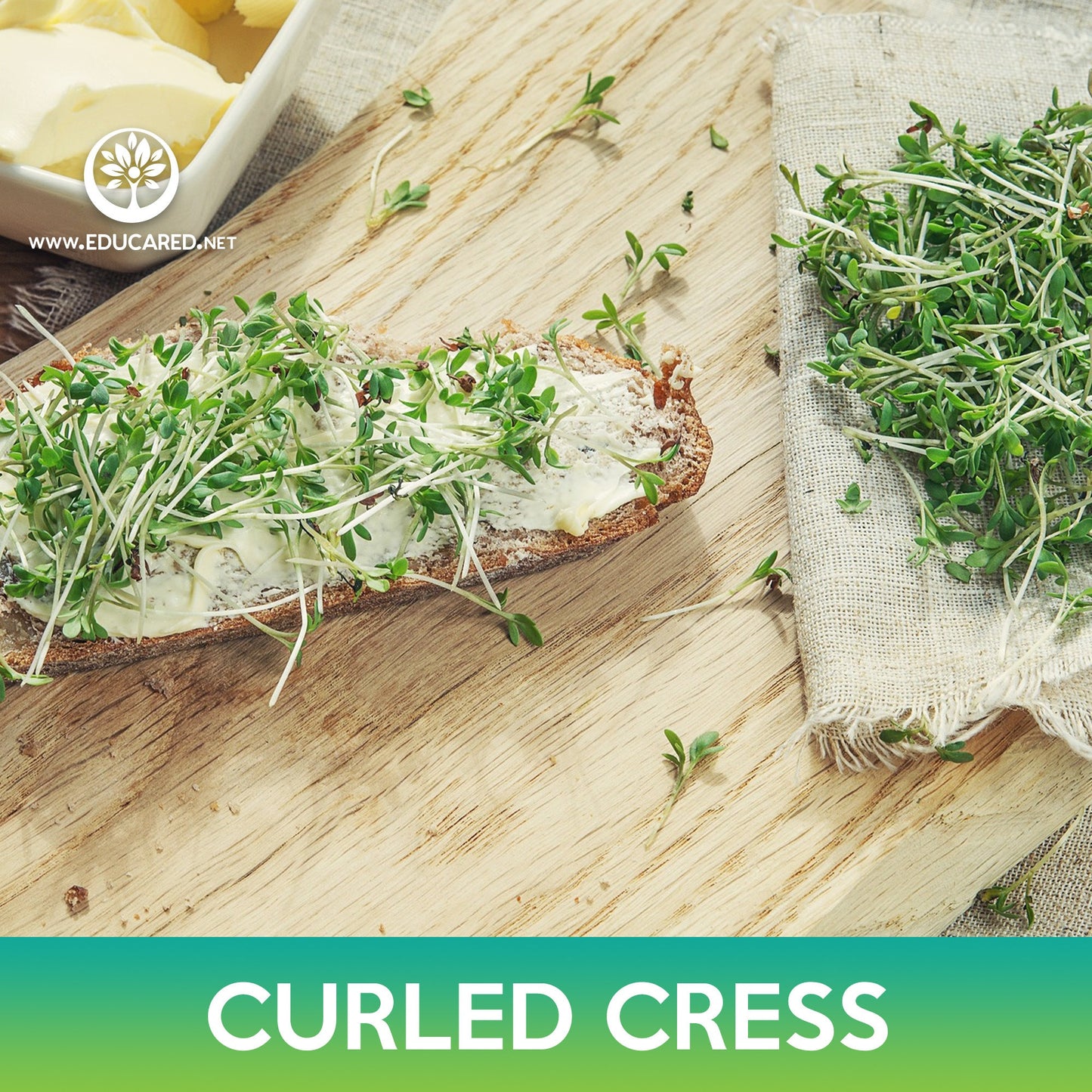 Curled Cress Seeds