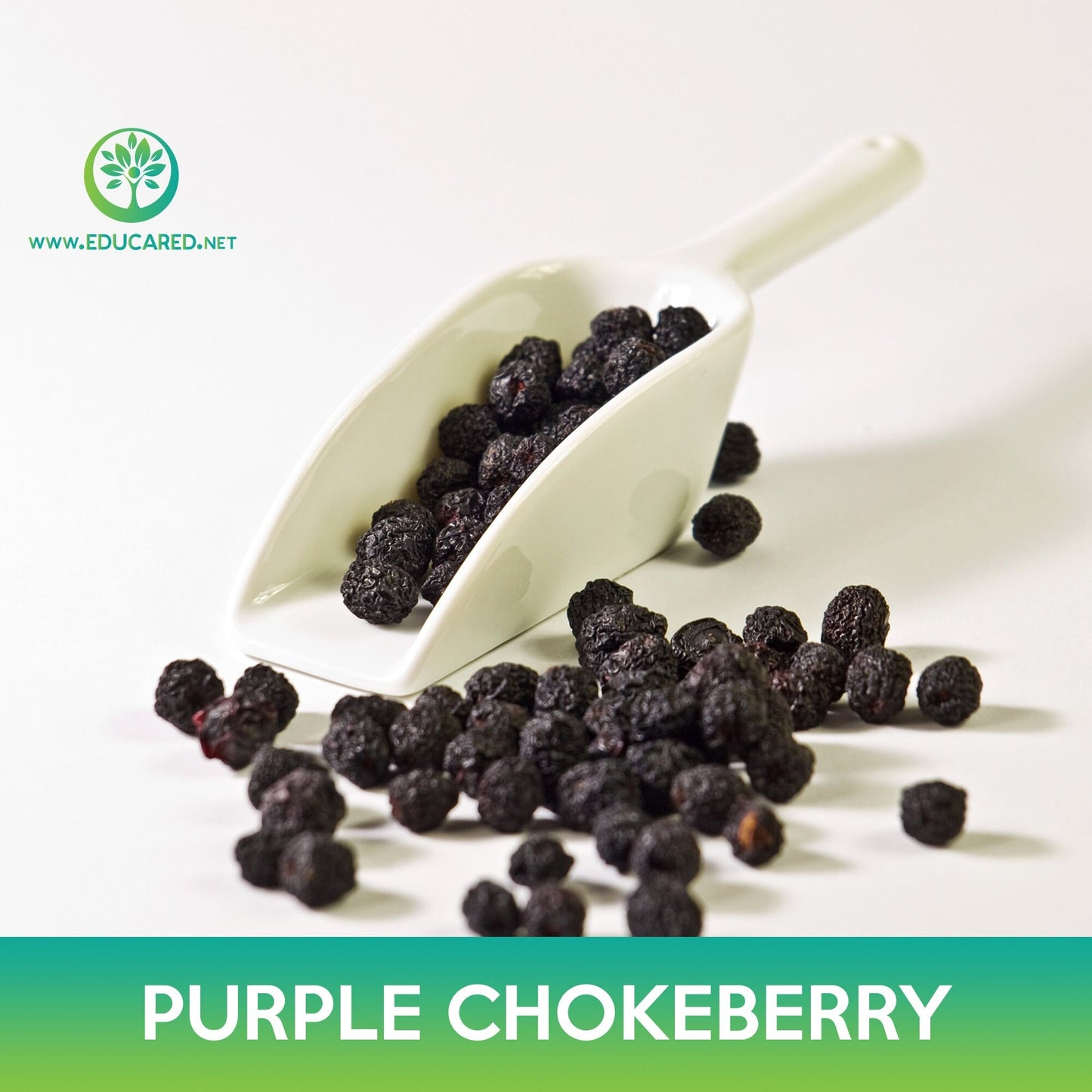 Purple Chokeberry Seeds
