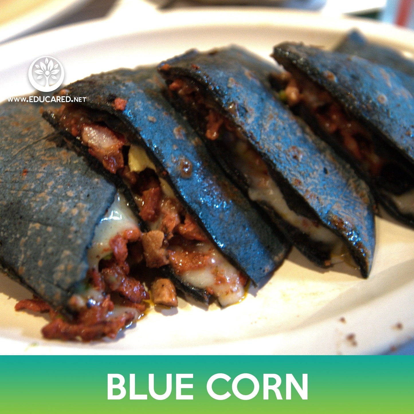Blue Corn Seeds