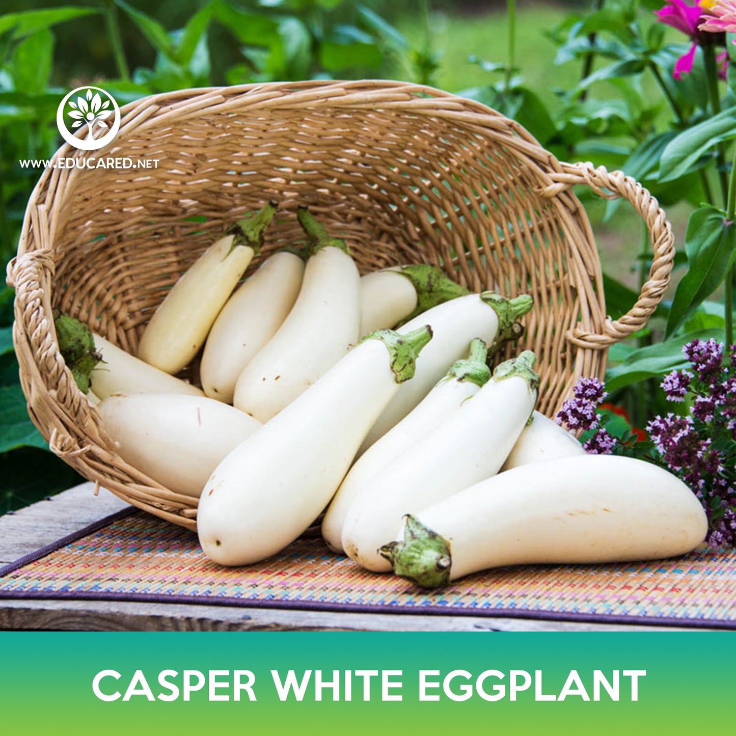 Casper White Eggplant Seeds