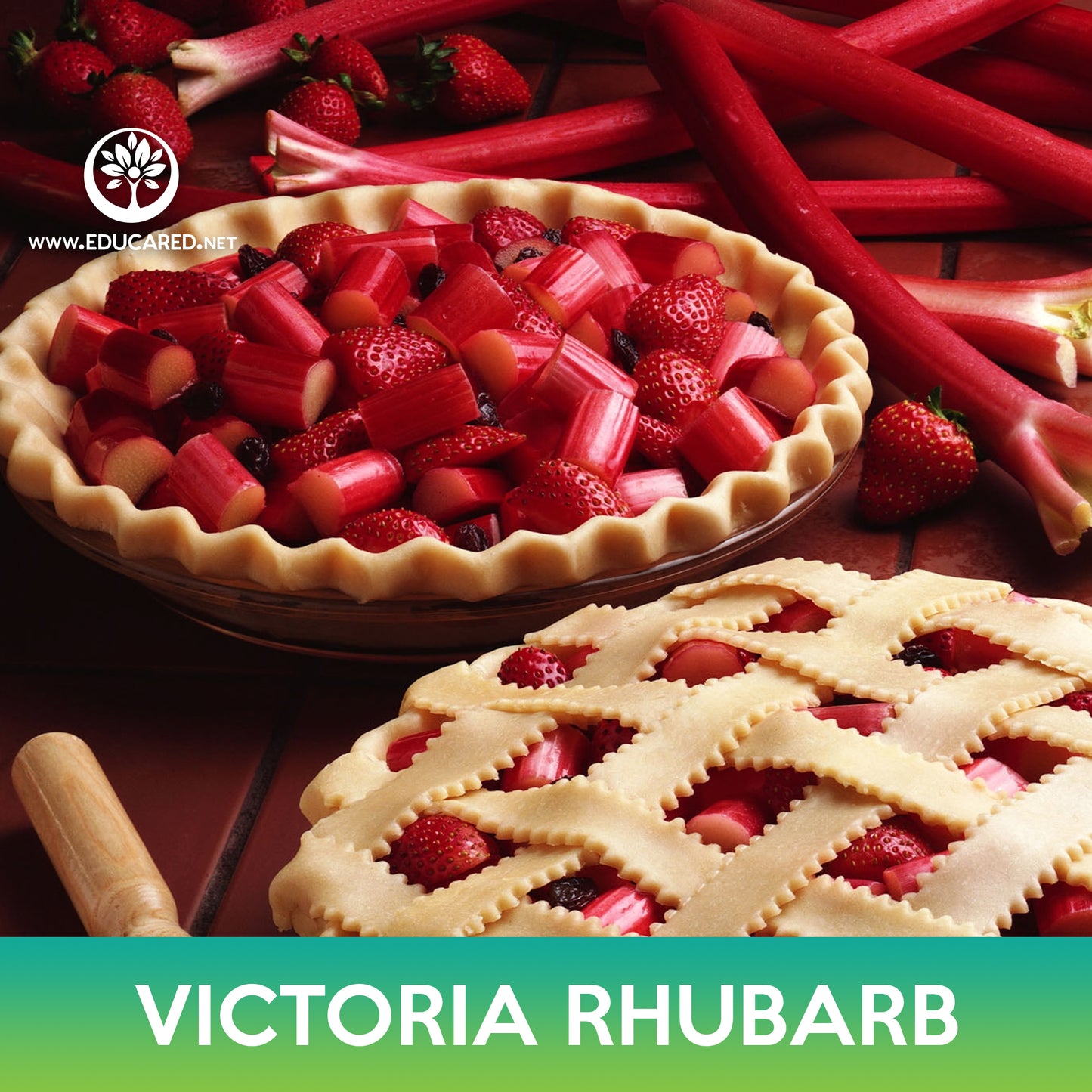 Victoria Rhubarb Seeds