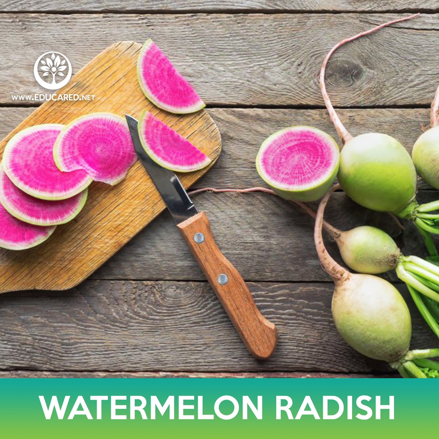 Watermelon Radish Seeds