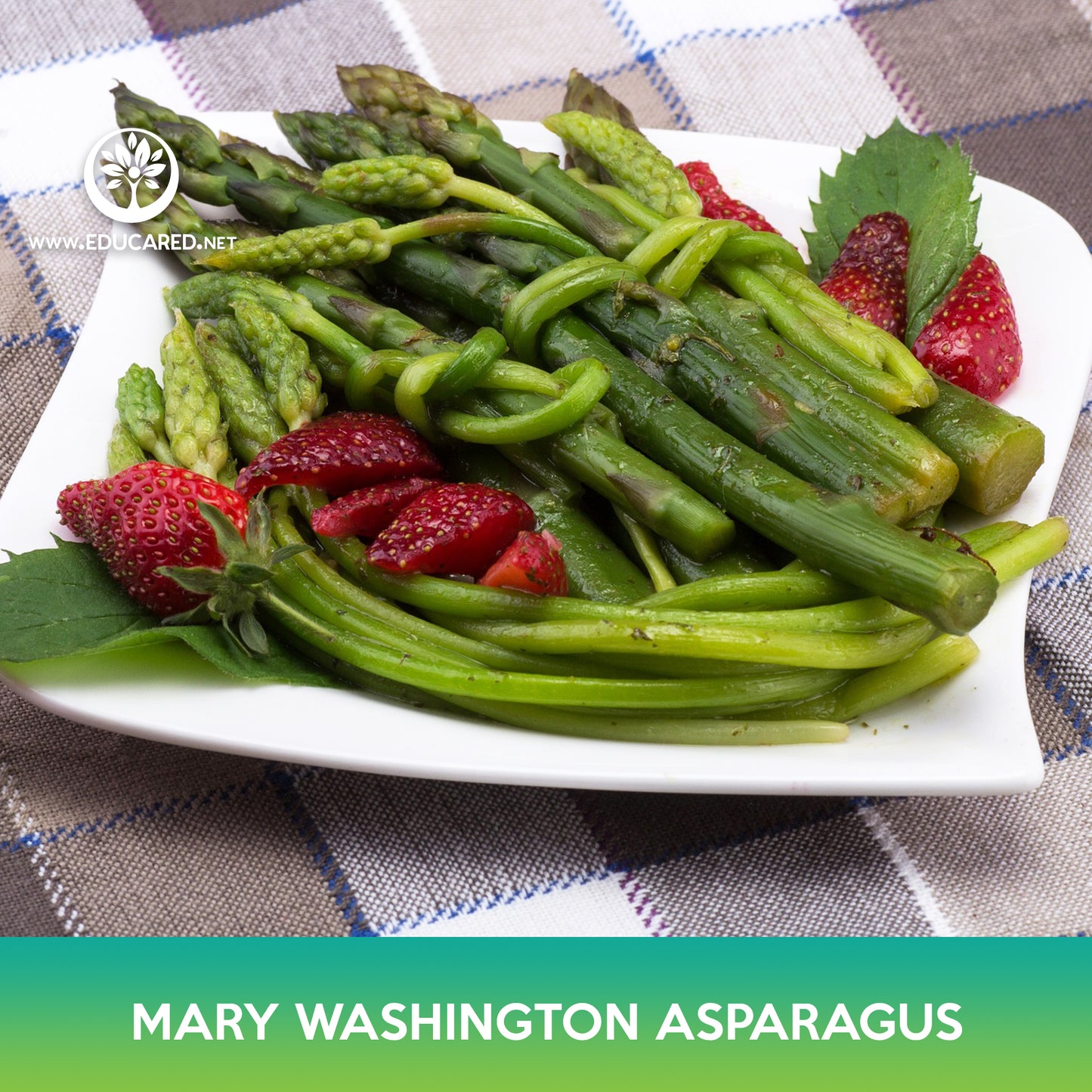 Mary Washington Asparagus Seeds