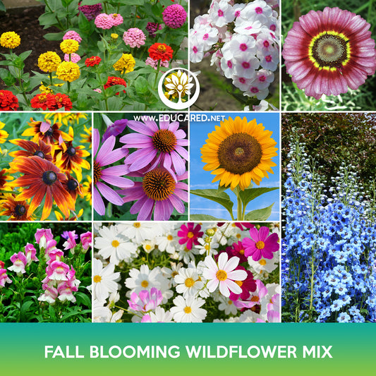 Fall Blooming Wildflowers Mix Seeds