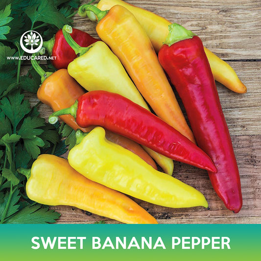 Sweet Banana Pepper Seeds