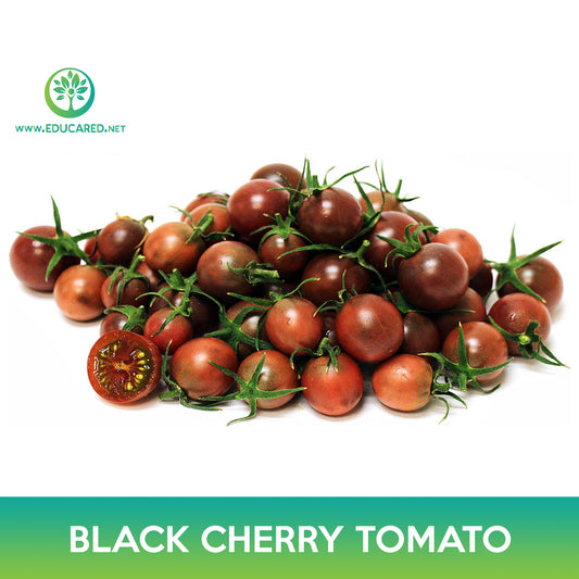 Black Cherry Tomato Seeds