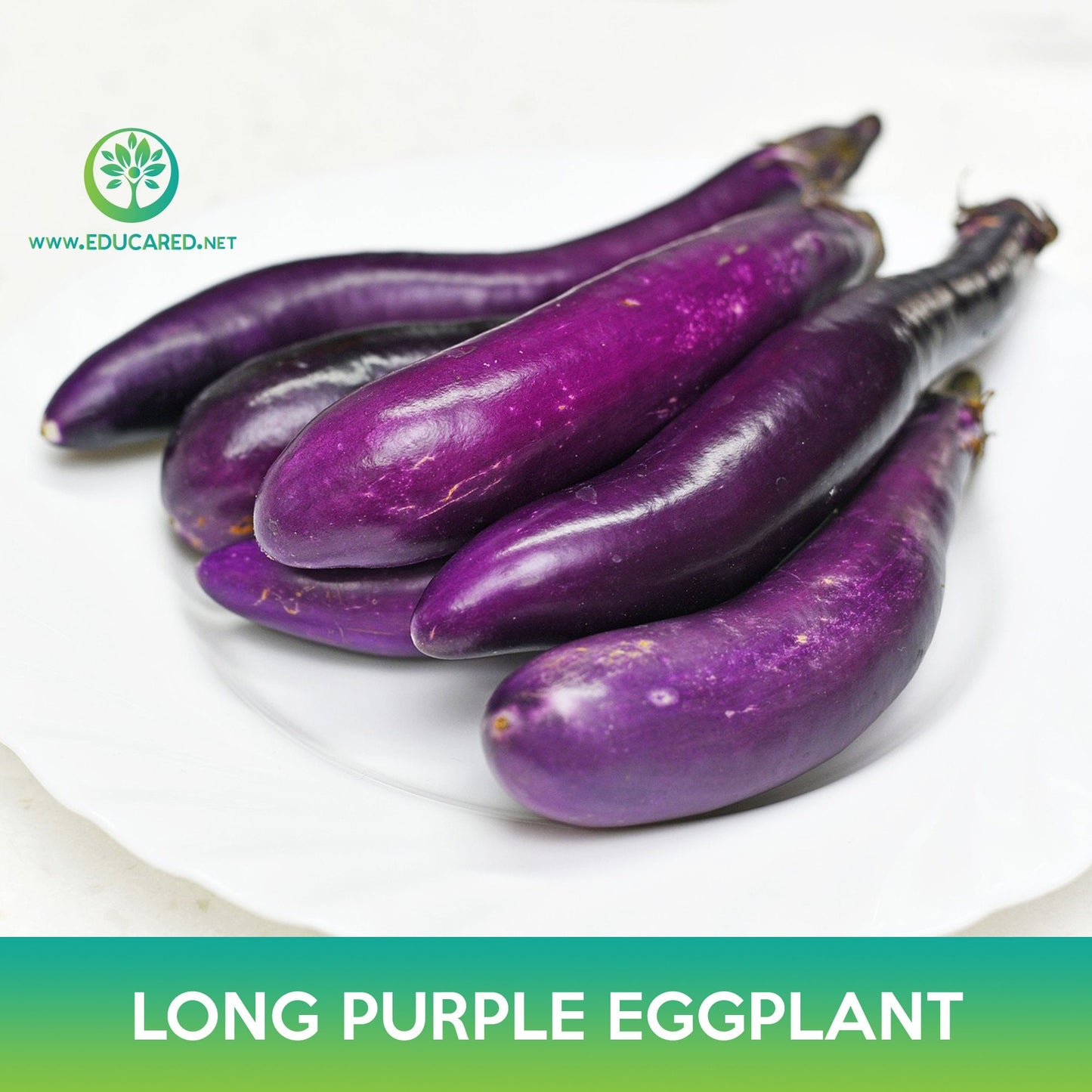 Long Purple Eggplant Seeds