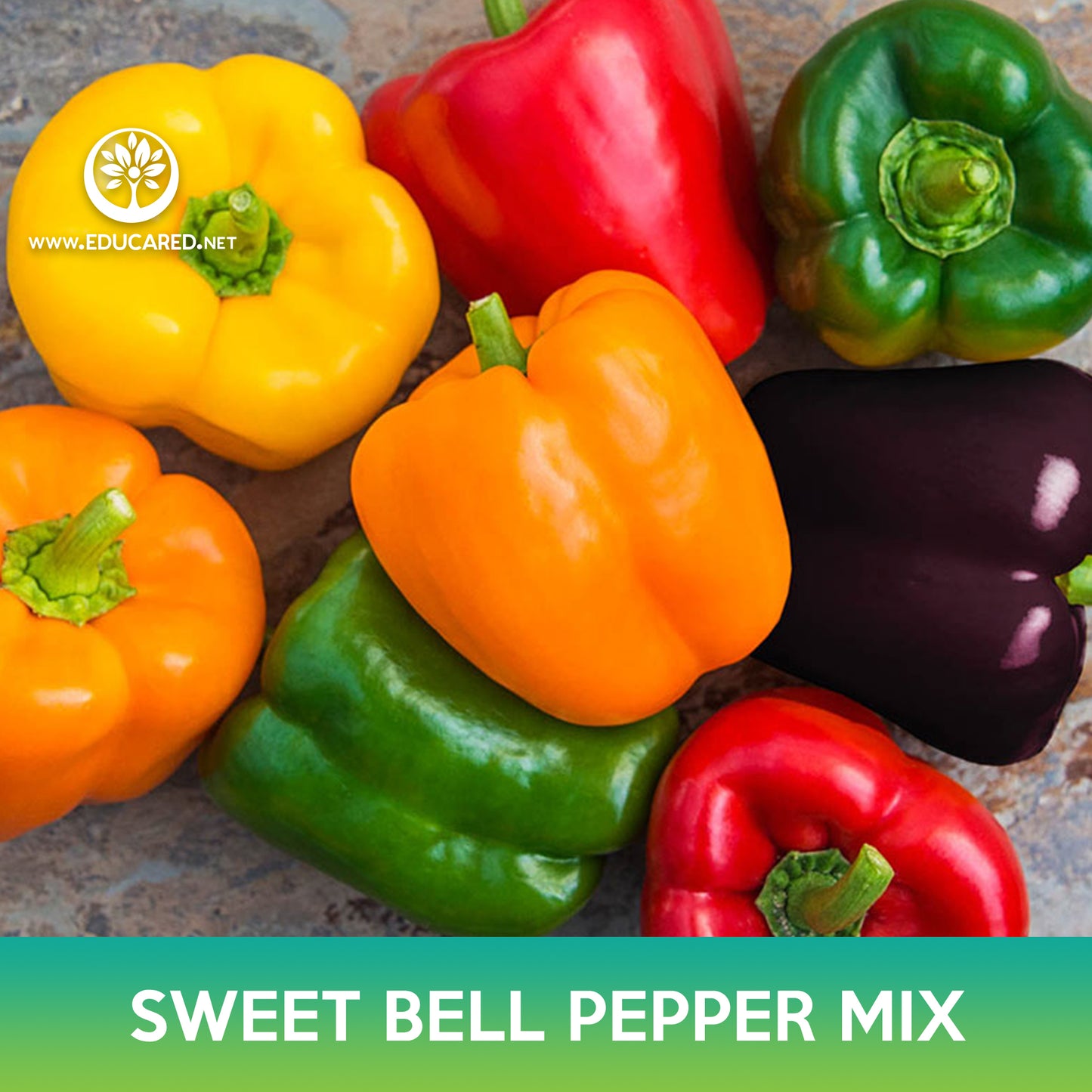 Sweet Bell Pepper Mix Seeds