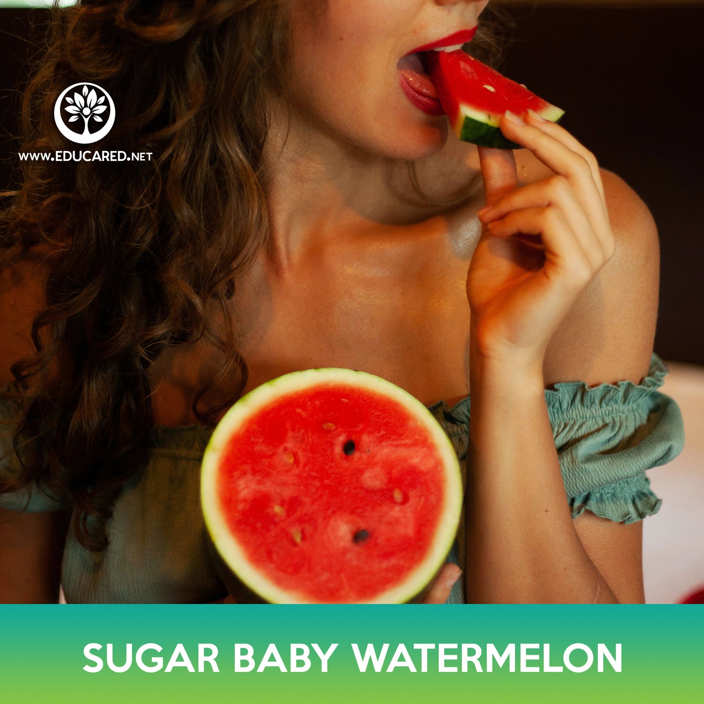 Sugar Baby Watermelon Seeds