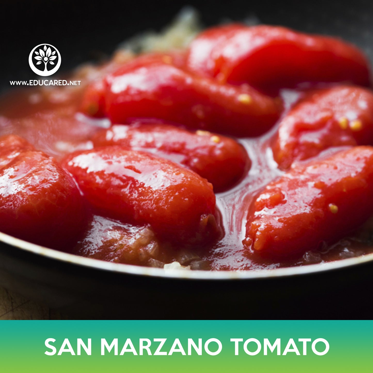 San Marzano Tomato Seeds