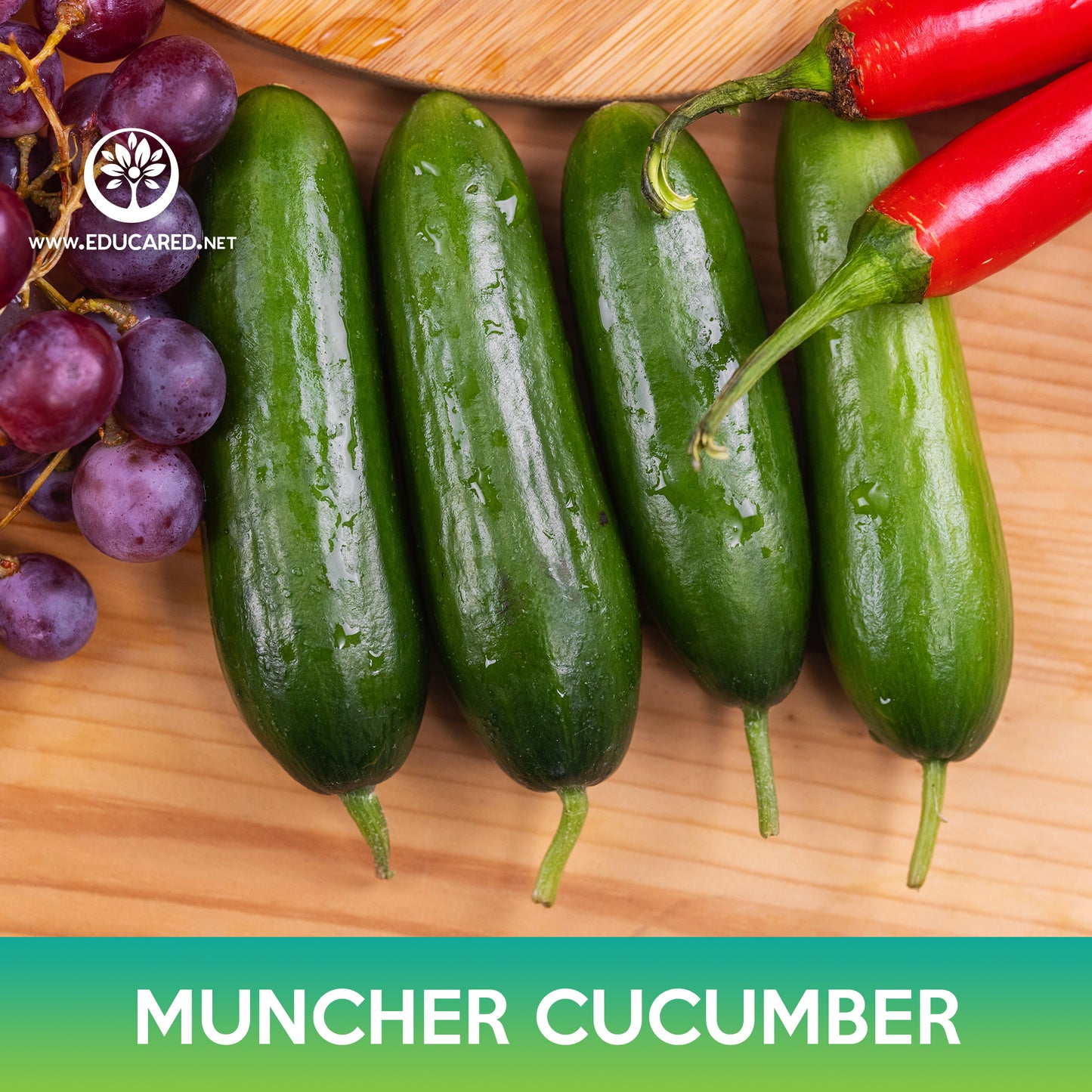Muncher Cucumber Seeds