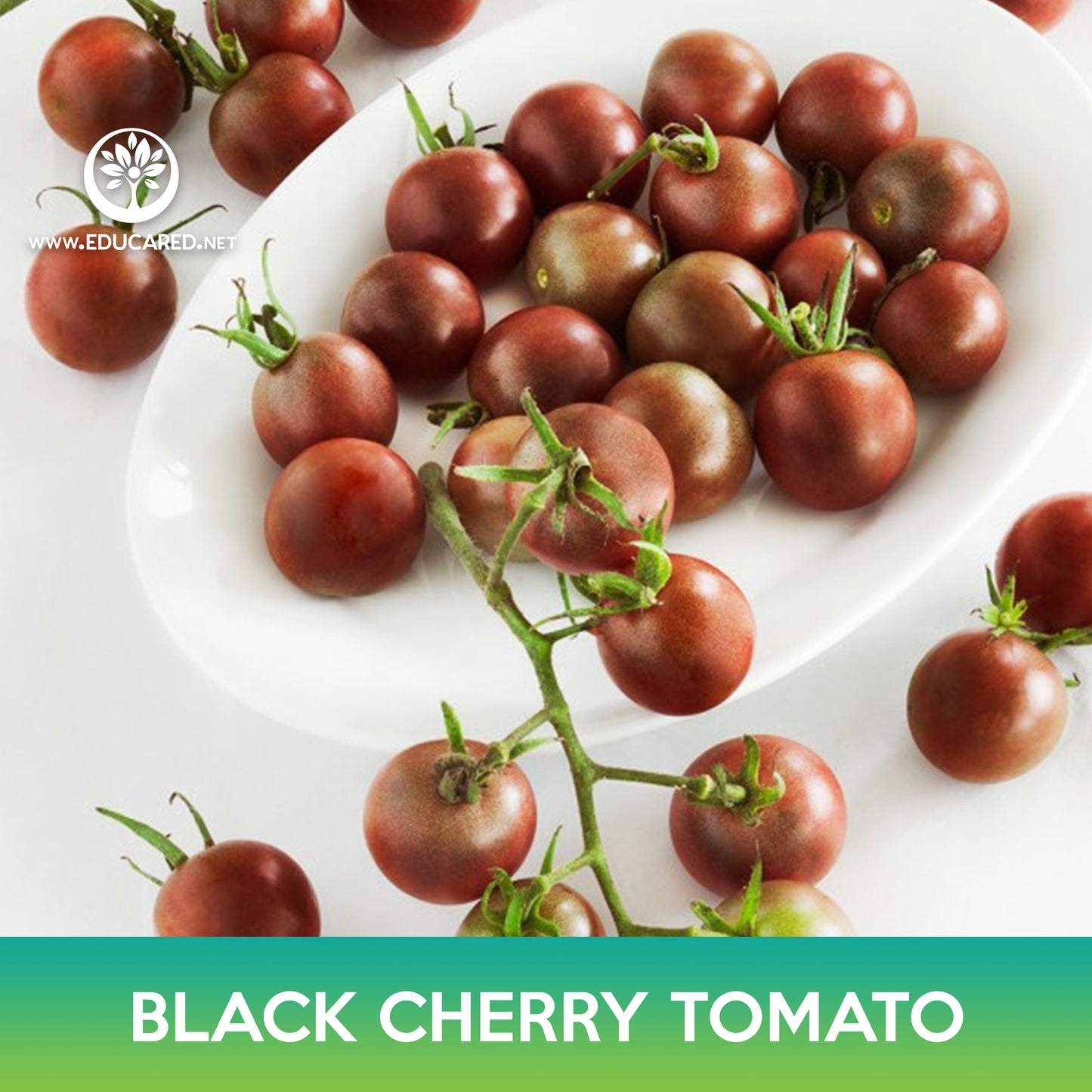 Black Cherry Tomato Seeds