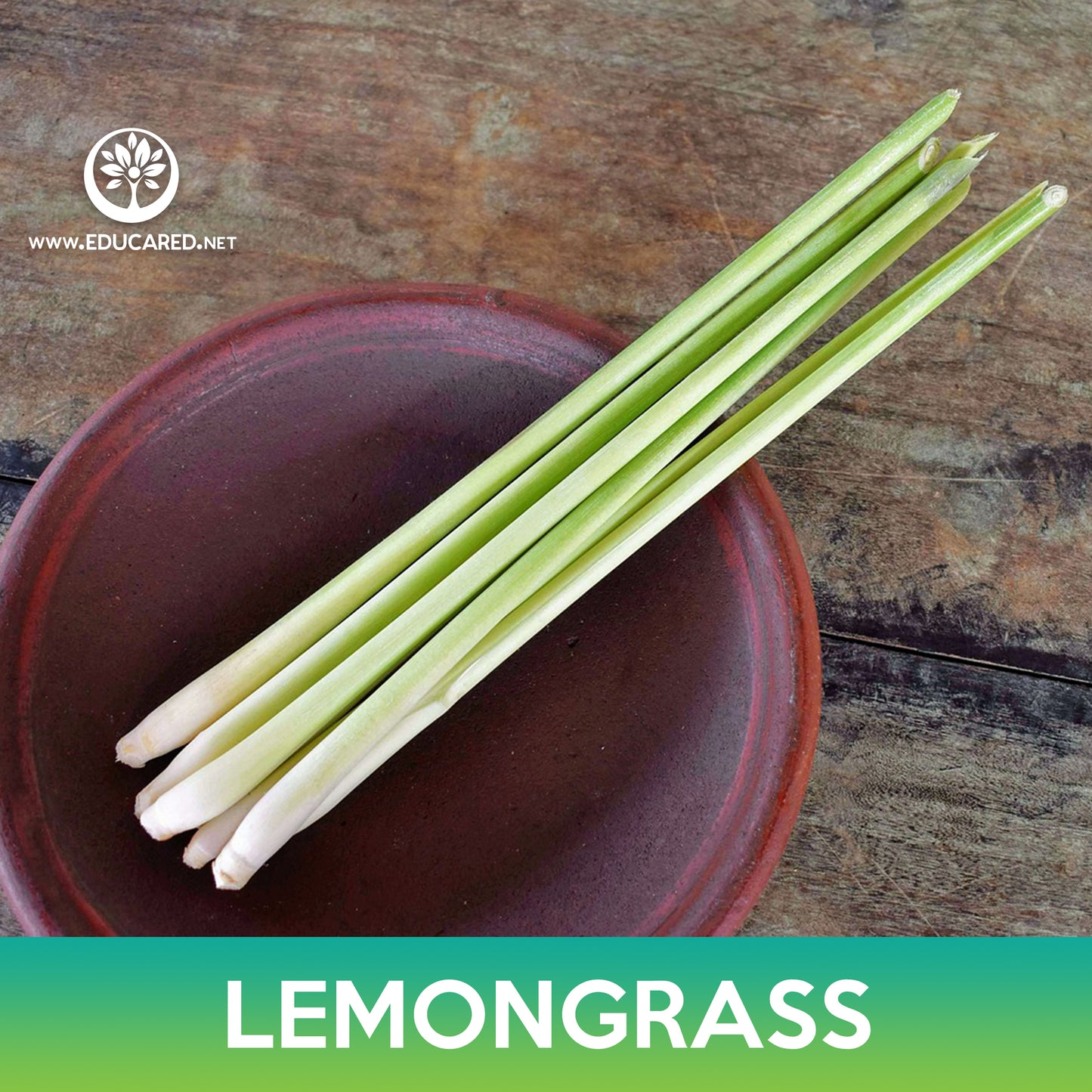 Lemongrass Seeds