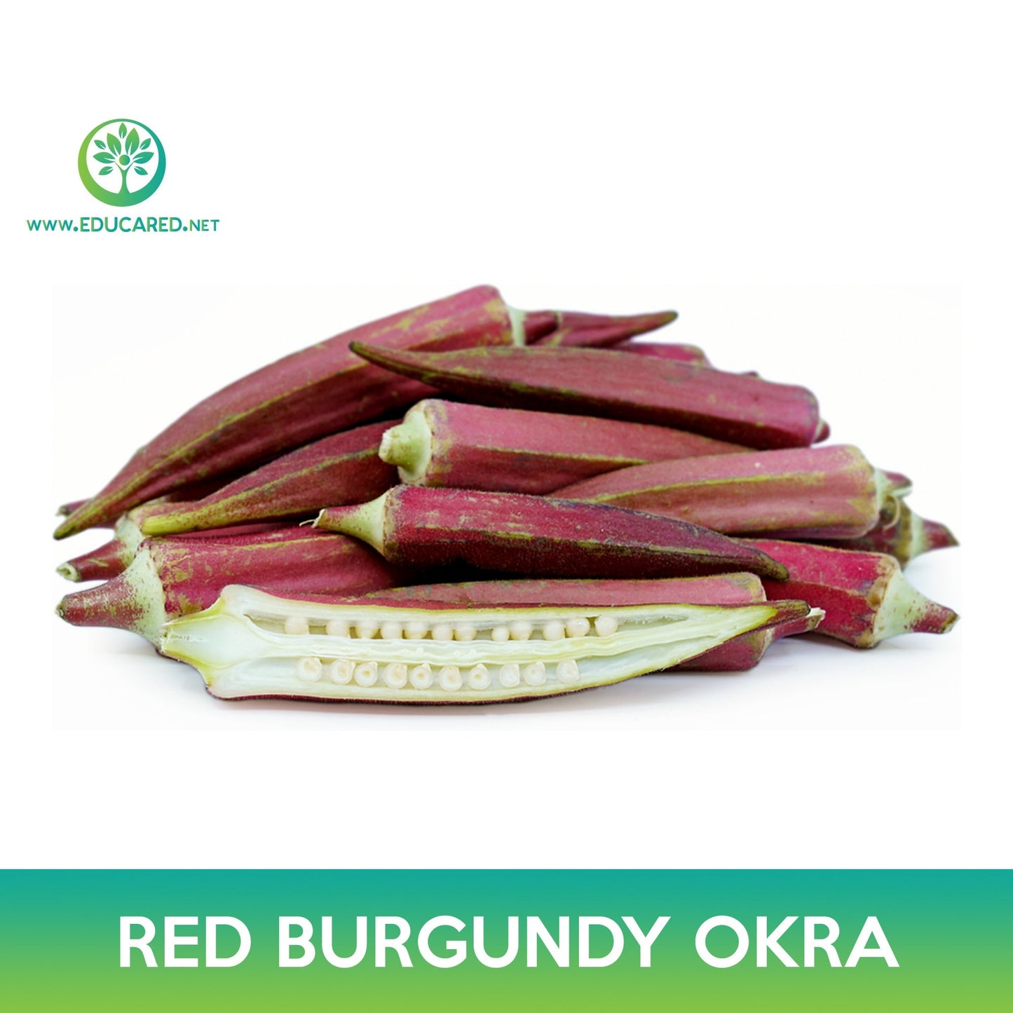 Red Burgundy Okra Seeds