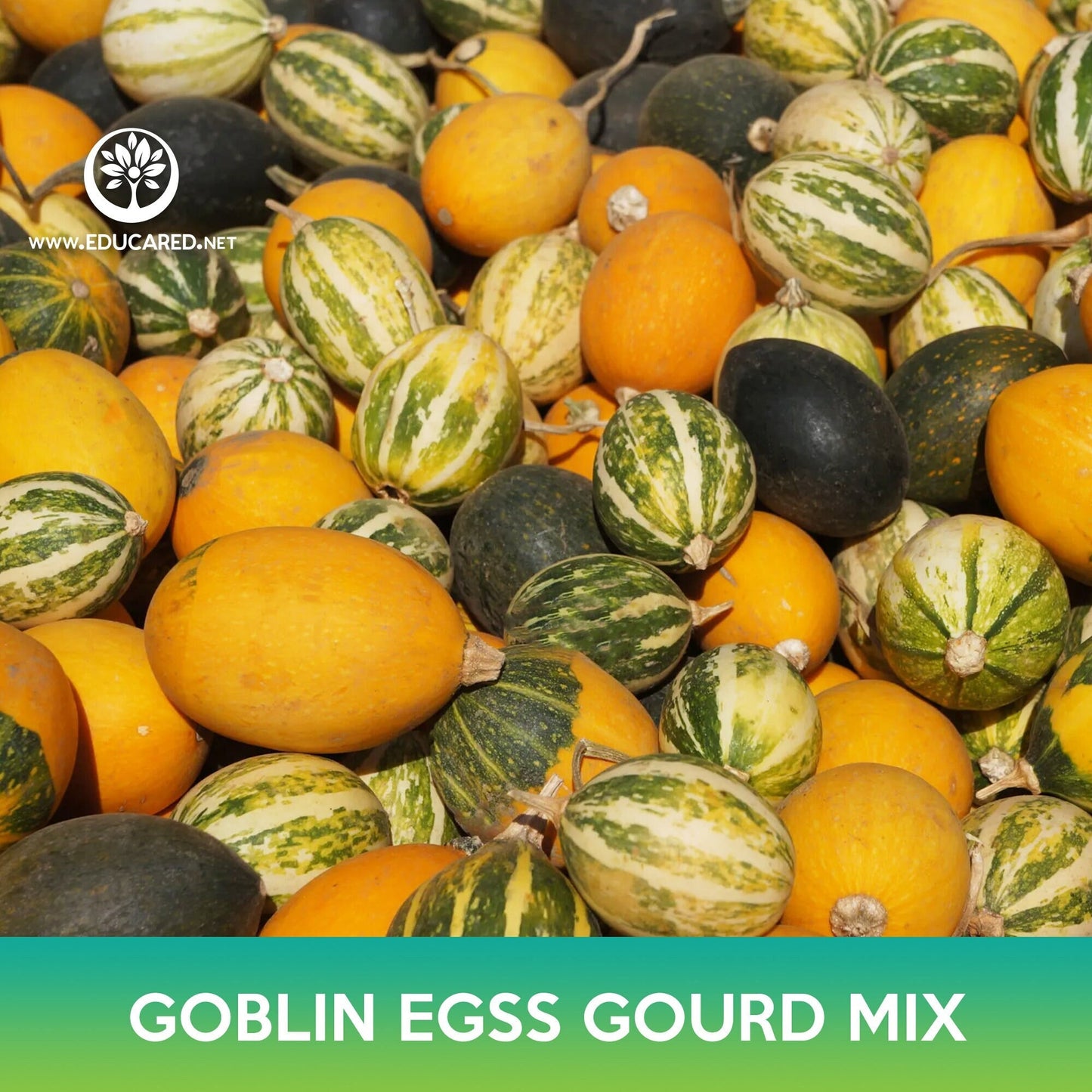 Goblin Eggs Gourd Mix Seeds