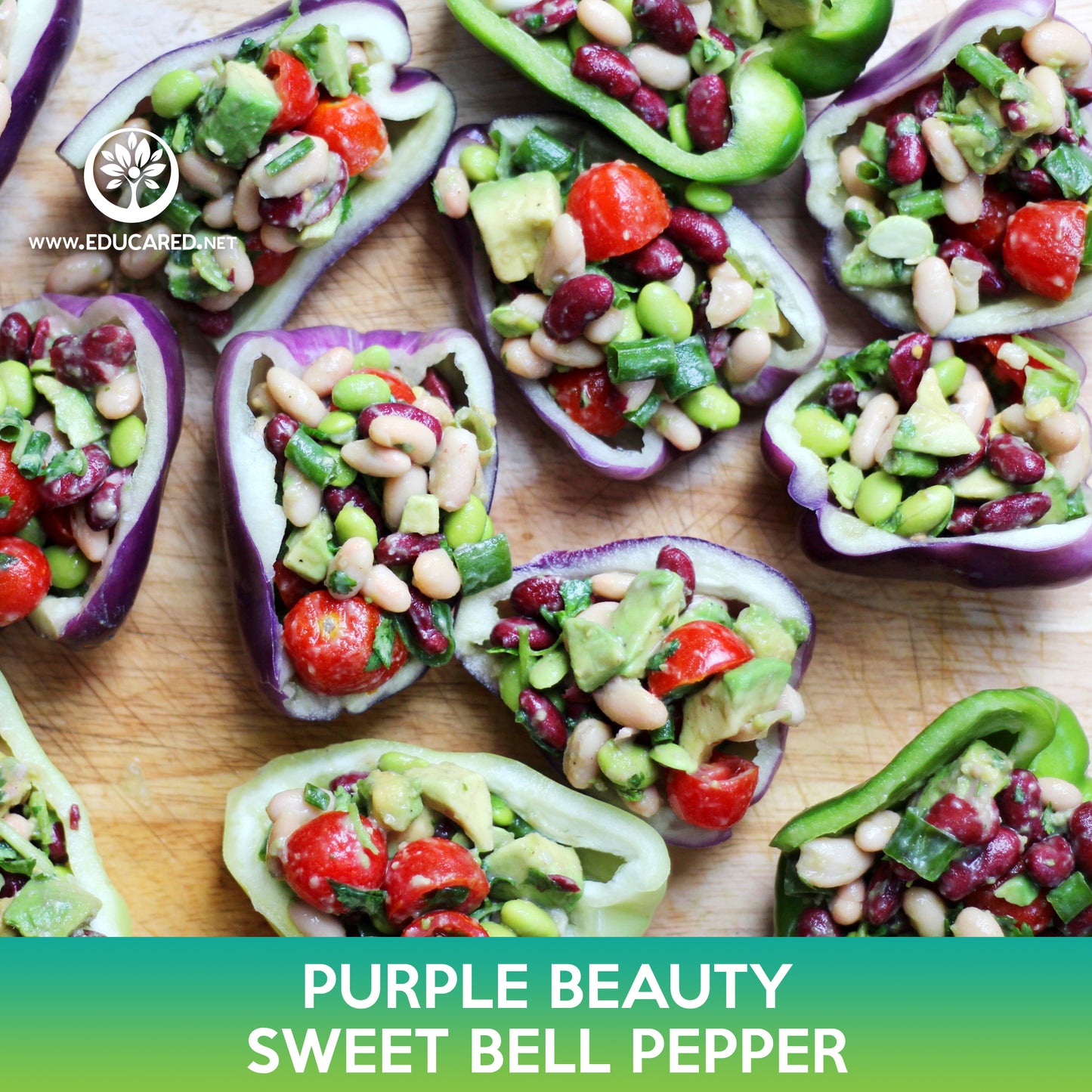 Purple Beauty Sweet Bell Pepper Seeds