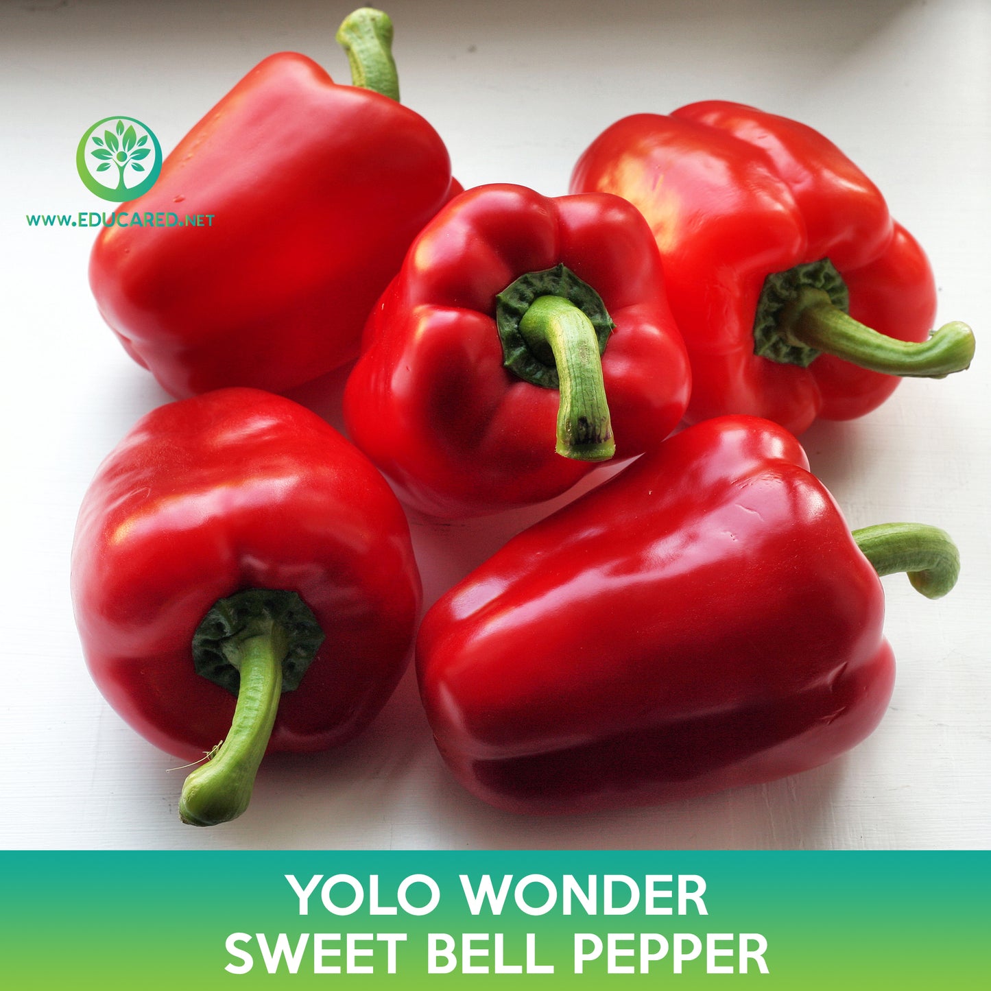 Yolo Wonder Sweet Bell Pepper Seeds