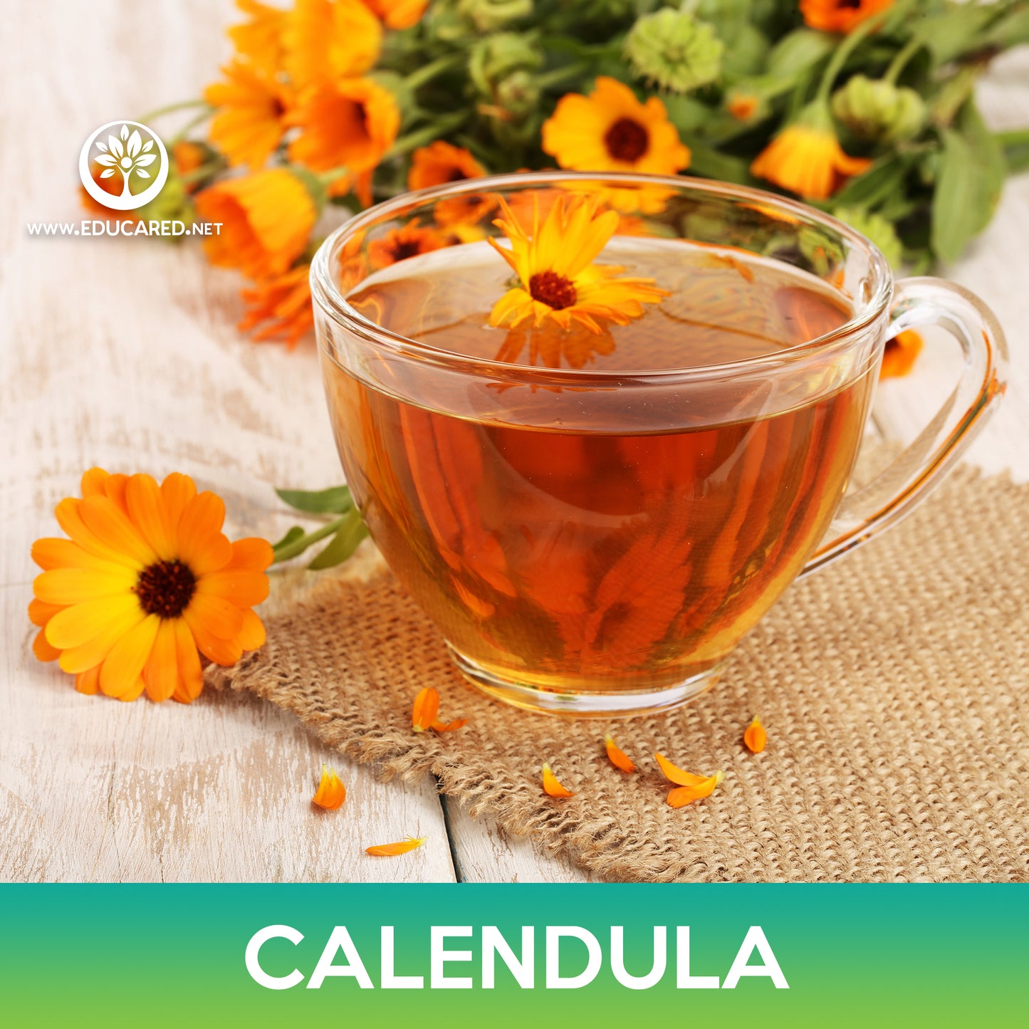 Calendula Seeds