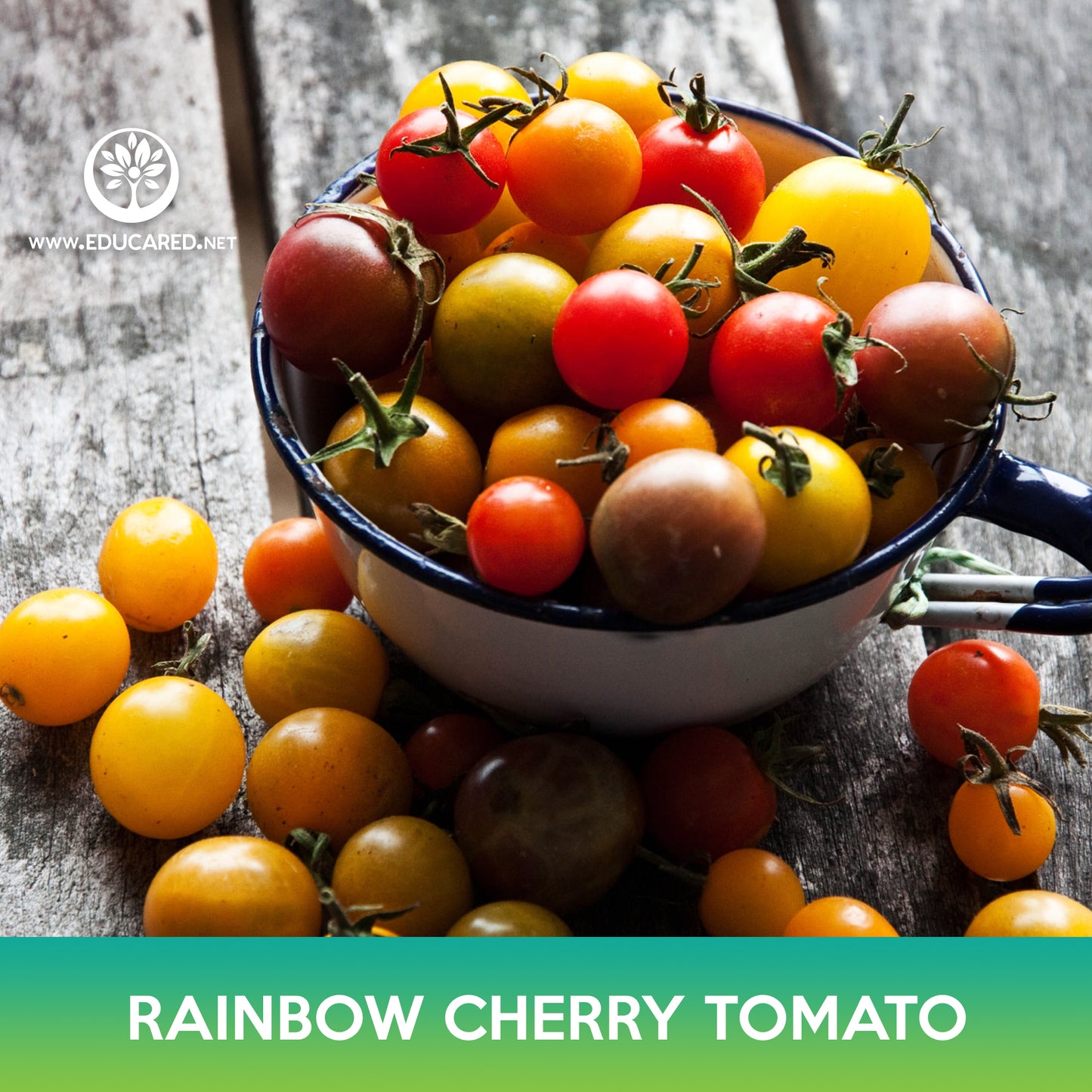 Rainbow Cherry Tomato Mix Seeds