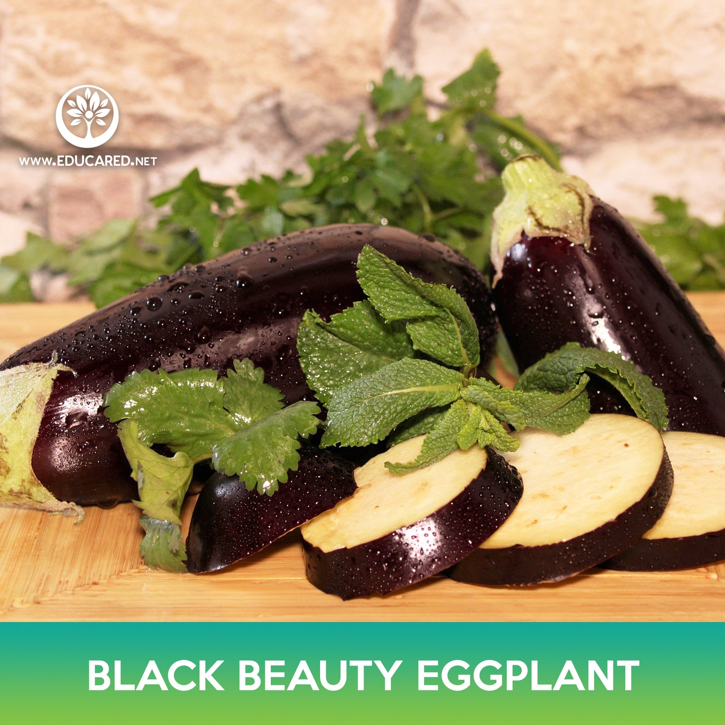 Black Beauty Eggplant Seeds