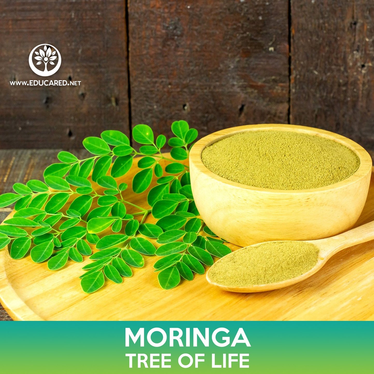 Moringa Seeds, Tree of Life