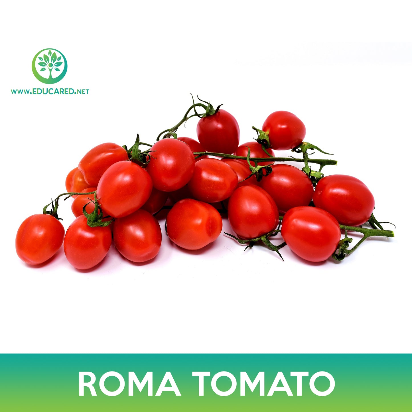 Roma Tomato Seeds