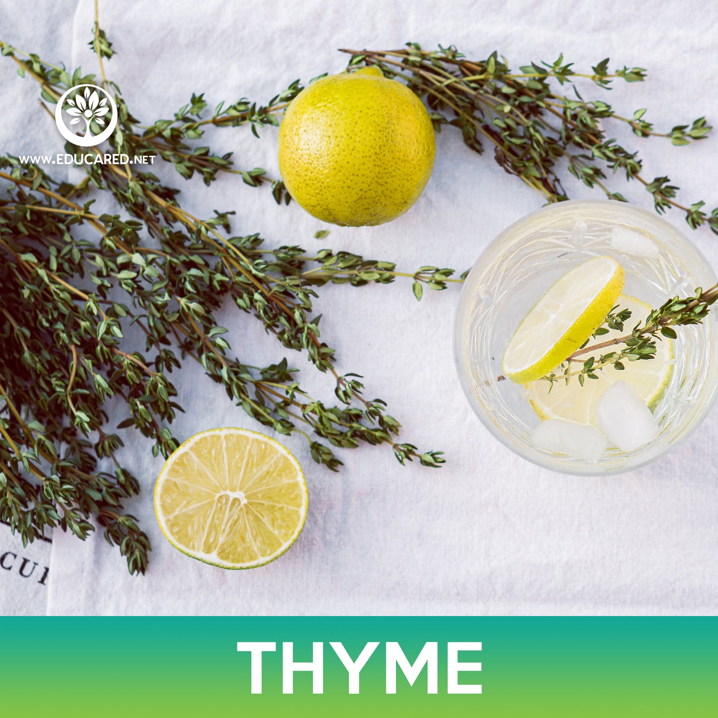 Thyme Seeds, Thymus vulgaris