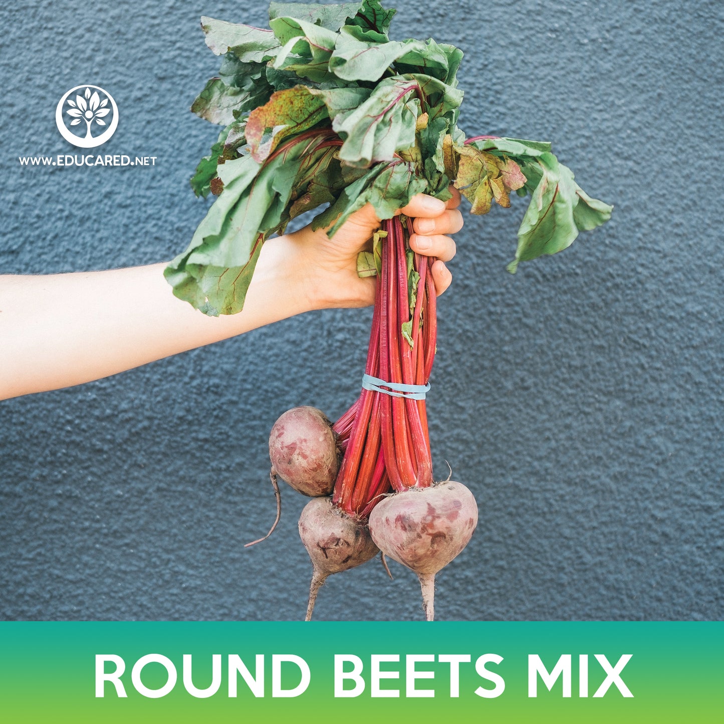 Round Beets Mix Seeds