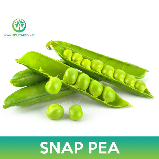 Super Sugar Snap Pea Seed