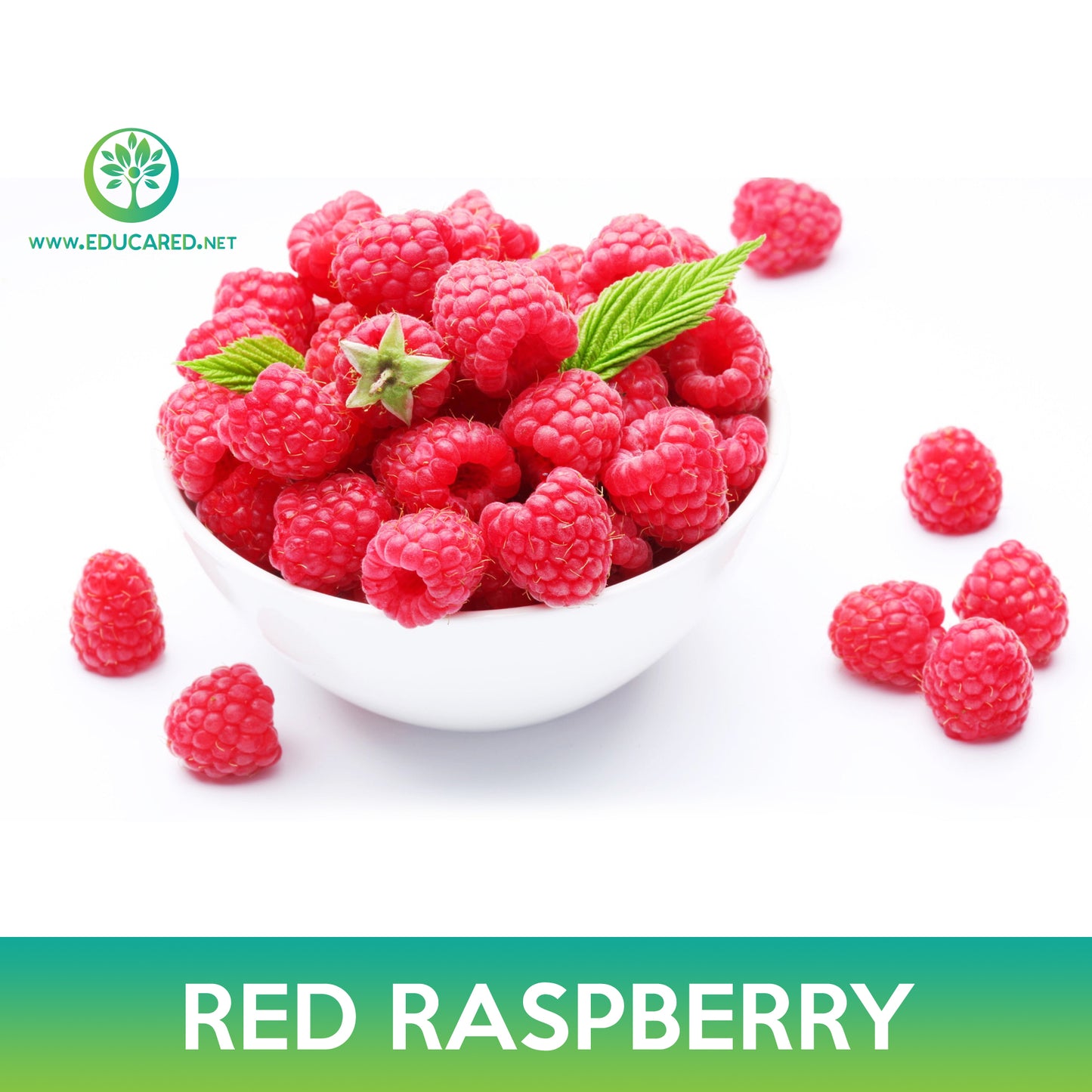Red Raspberry Seeds