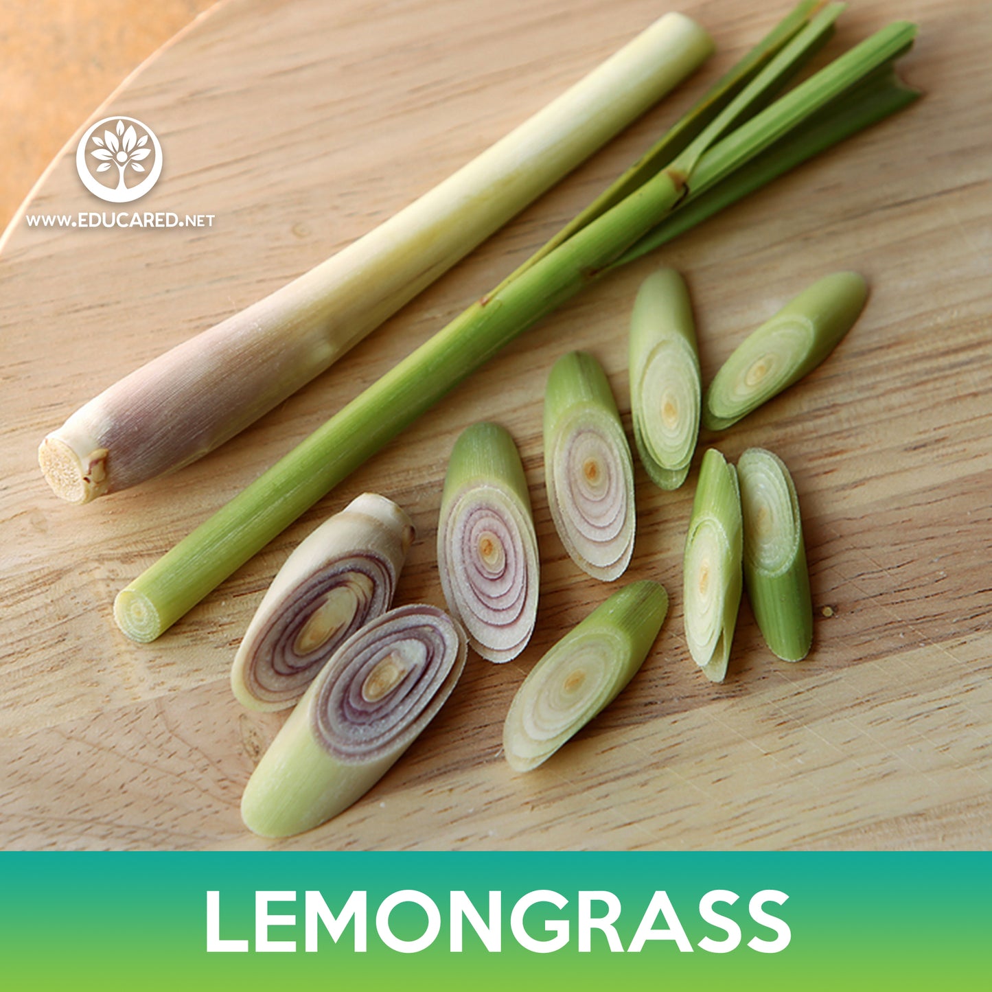 Lemongrass Seeds