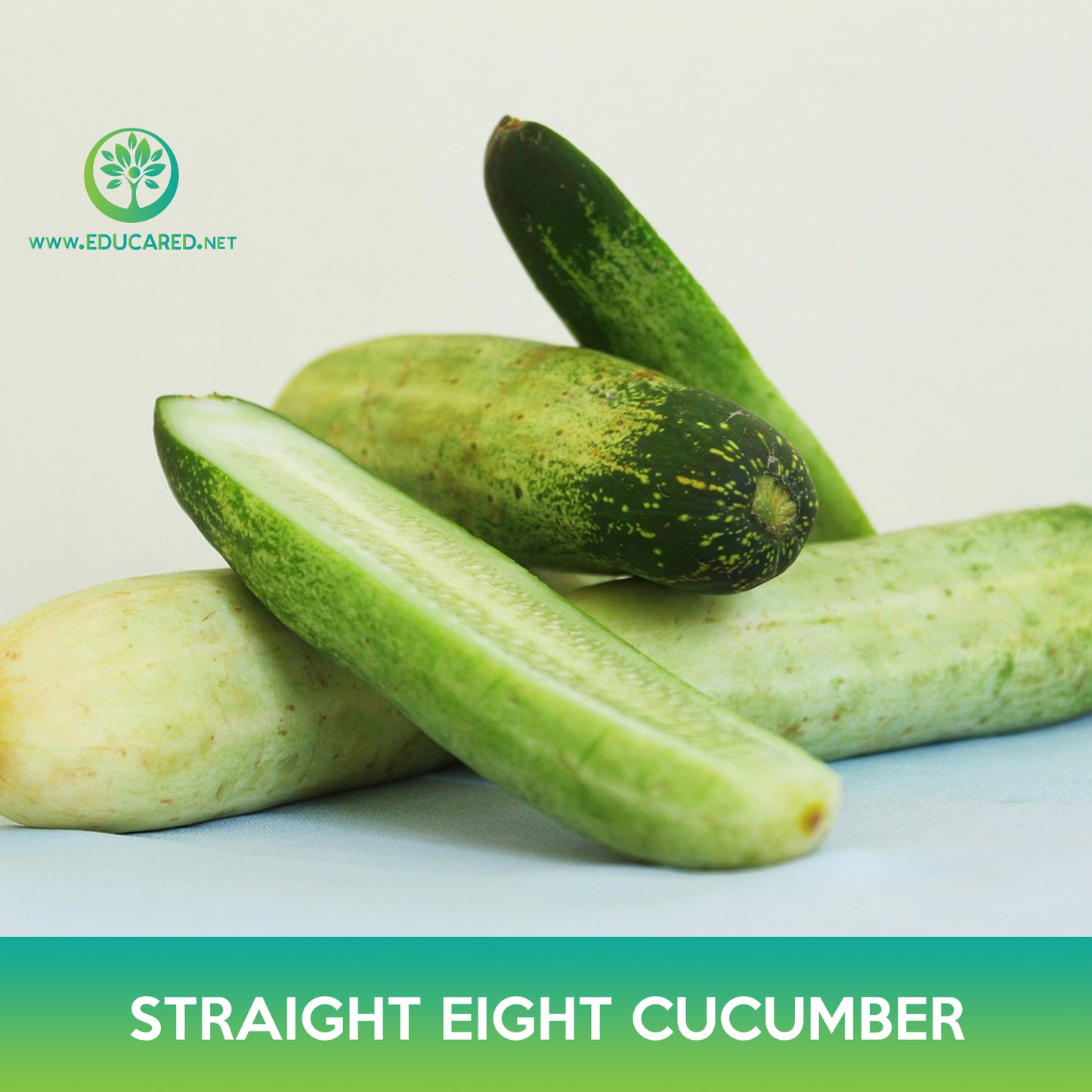 Straight Eight Cucumber Seeds