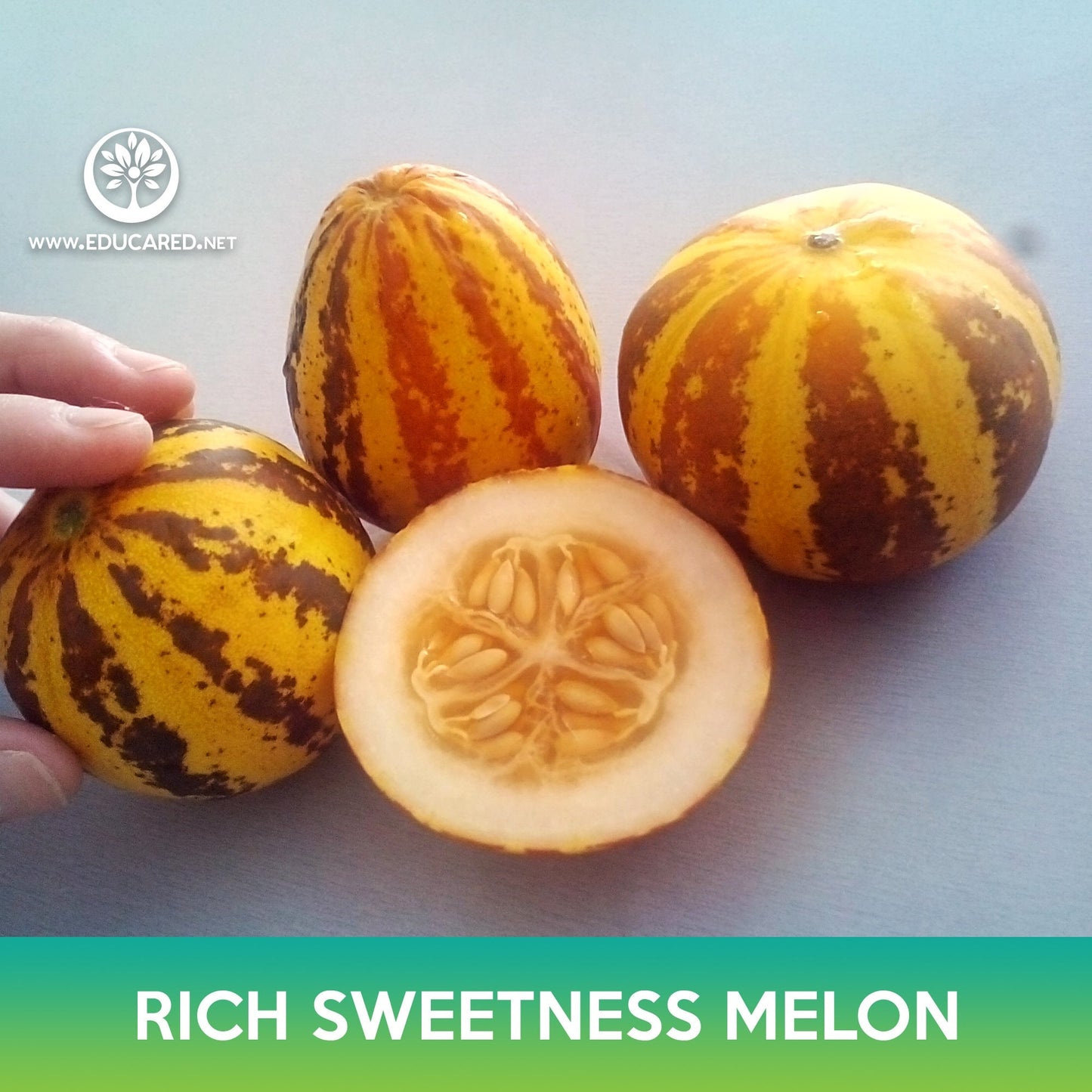 Rich Sweetness Melon Seeds