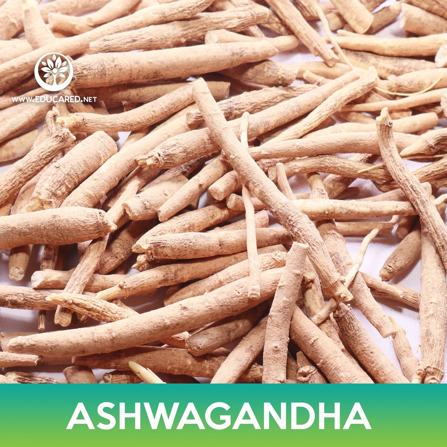 Ashwagandha Seeds