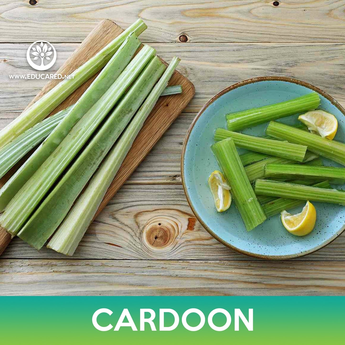 Cardoon Seeds