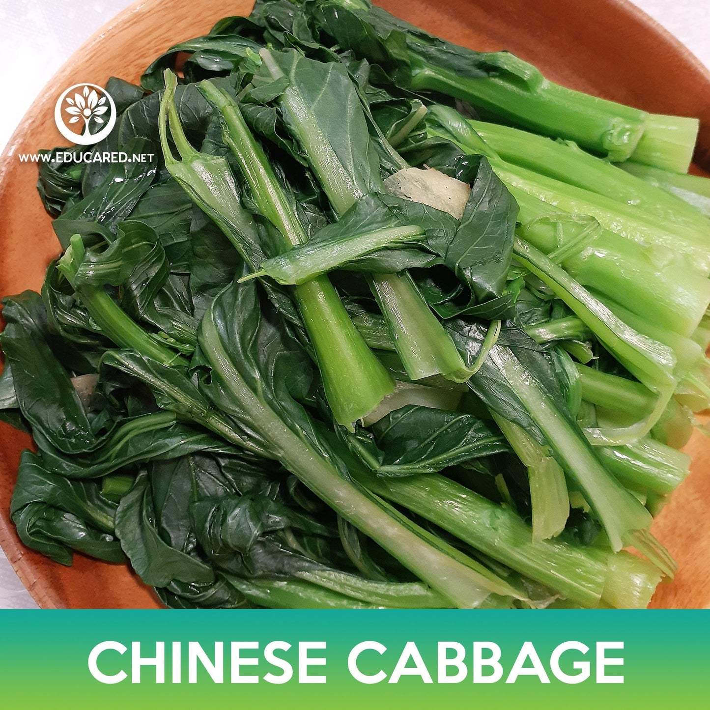 Chinese Cabbage Seeds
