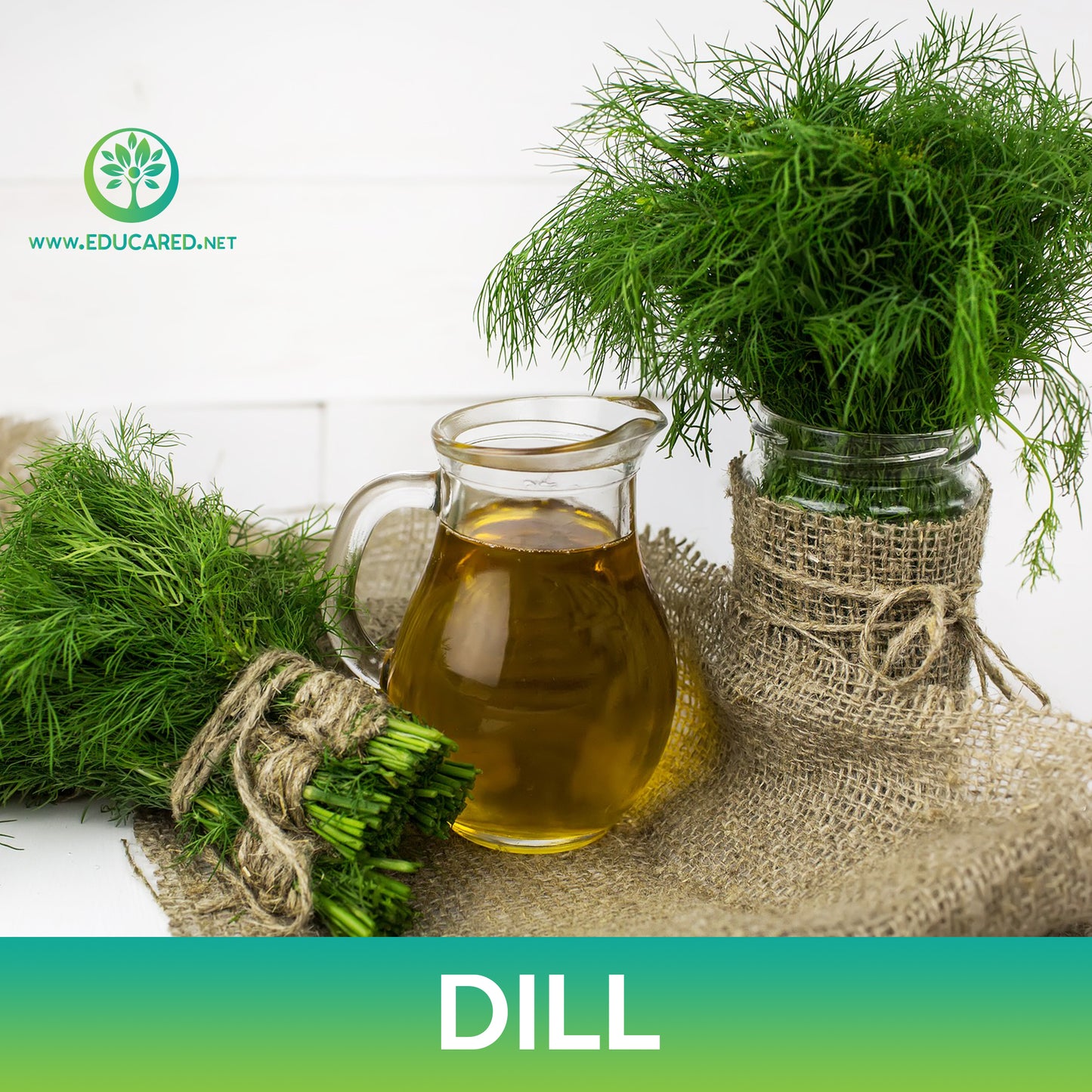 Dill Seeds