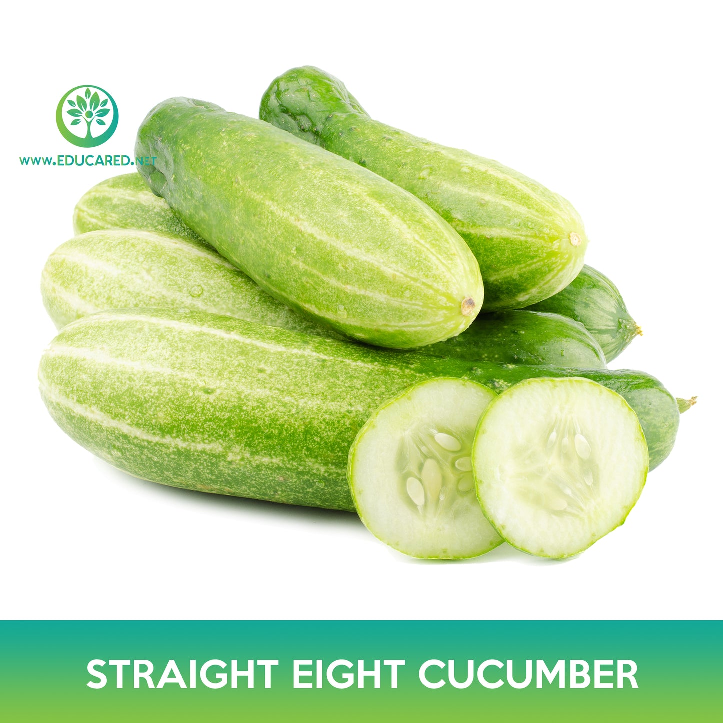Straight Eight Cucumber Seeds