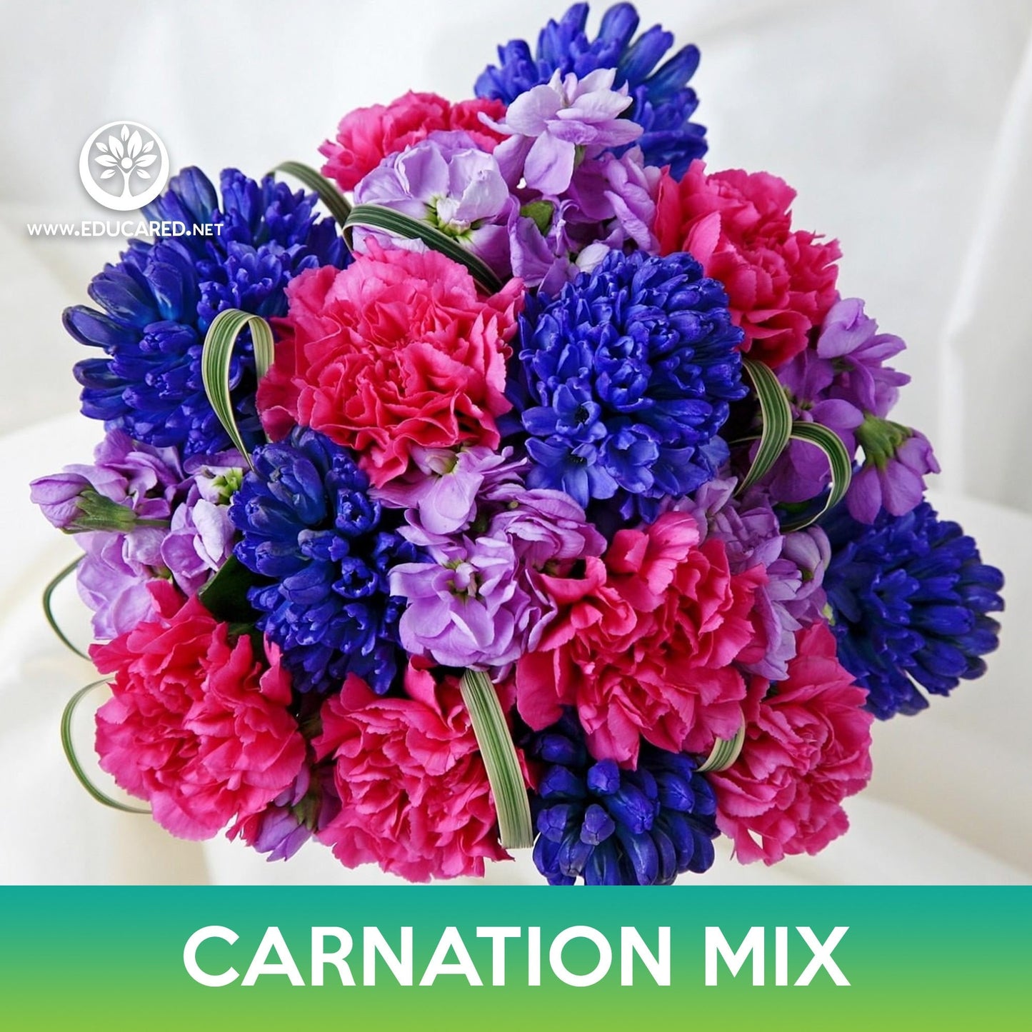 Carnation Flower Mix Seeds
