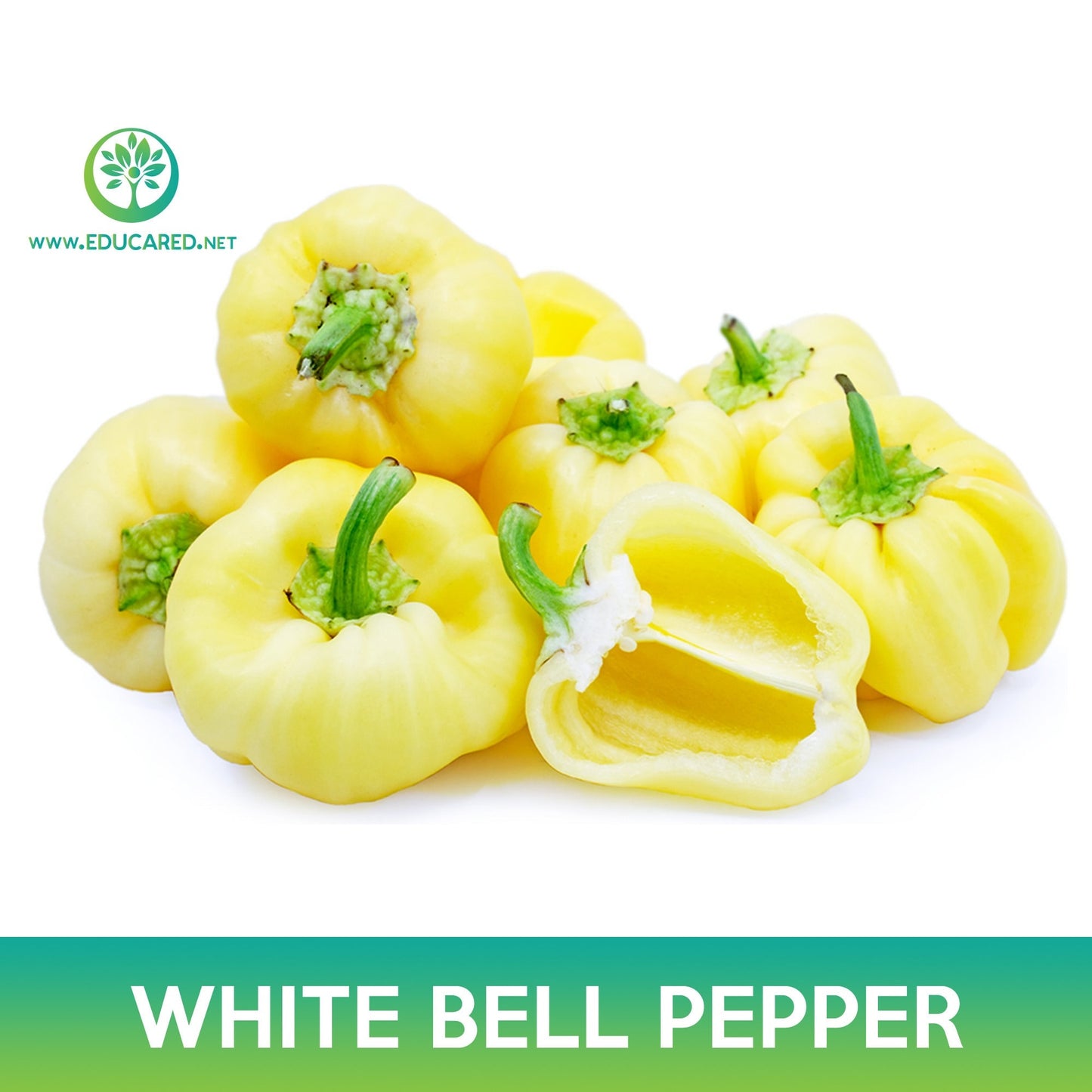 White Bell Pepper Seeds