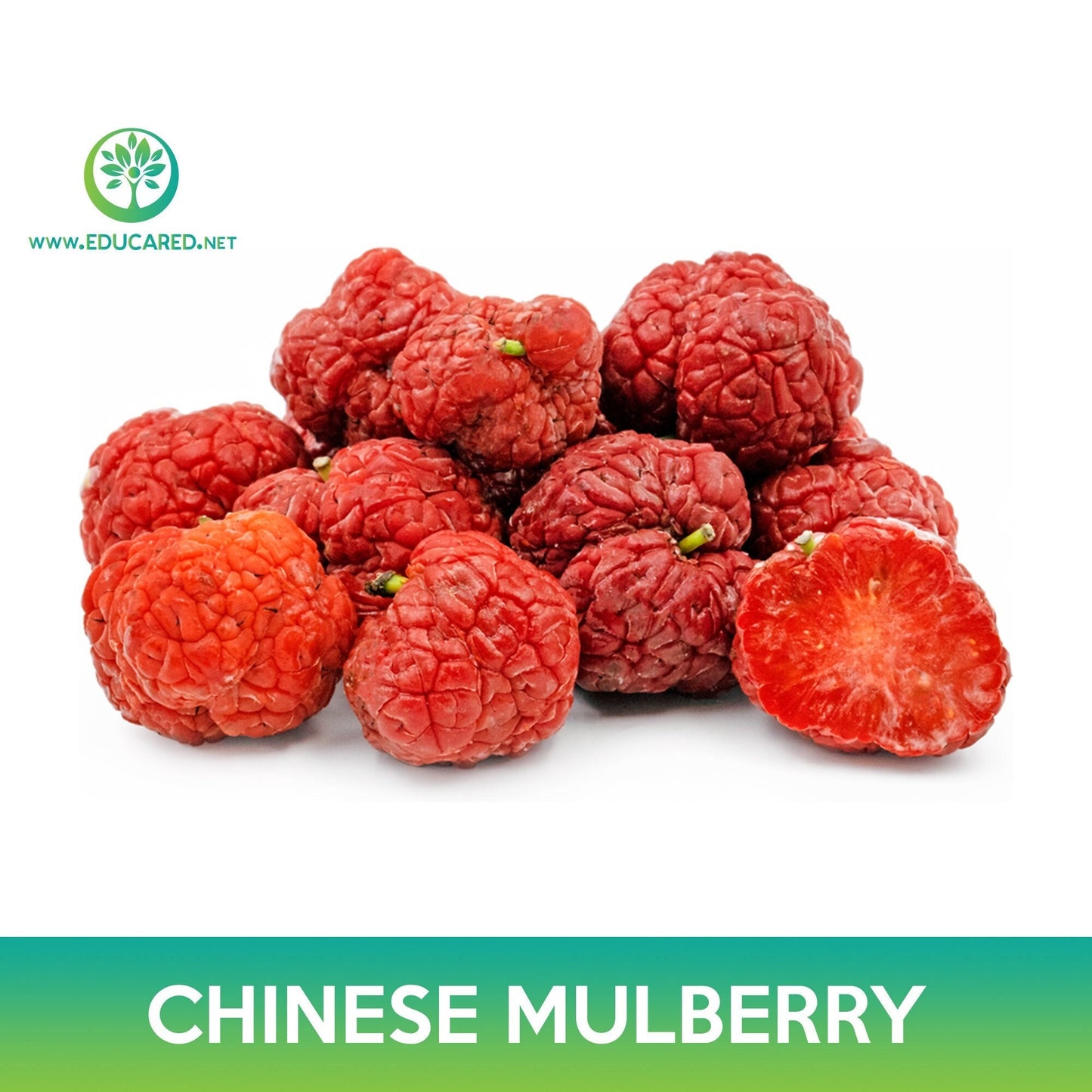 Chinese Mulberry Seeds