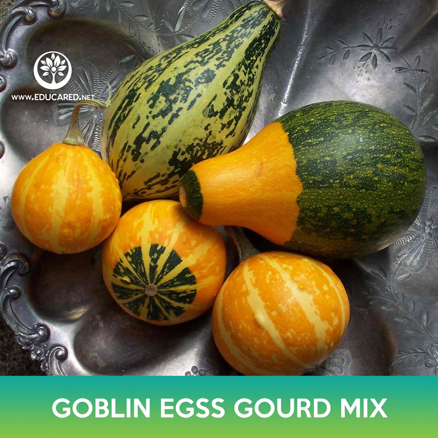 Goblin Eggs Gourd Mix Seeds
