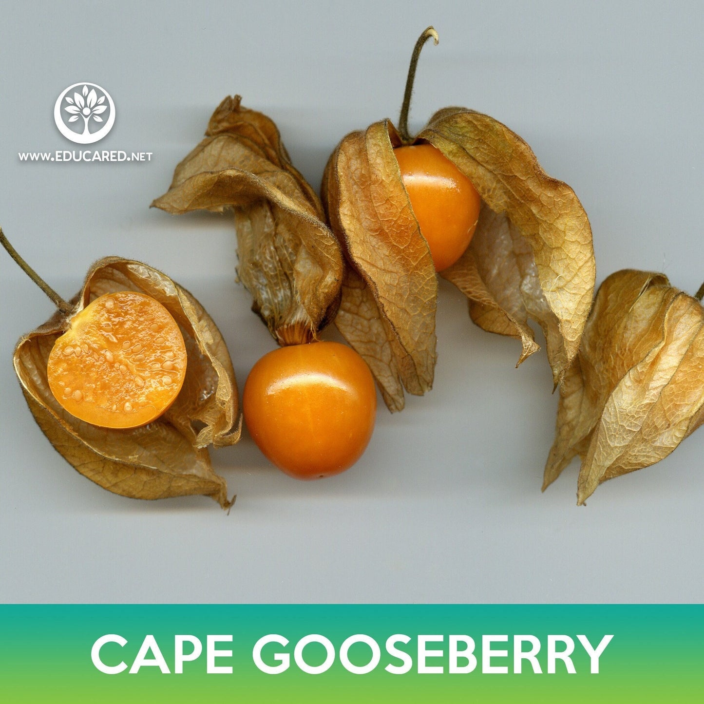 Cape Gooseberry Seeds