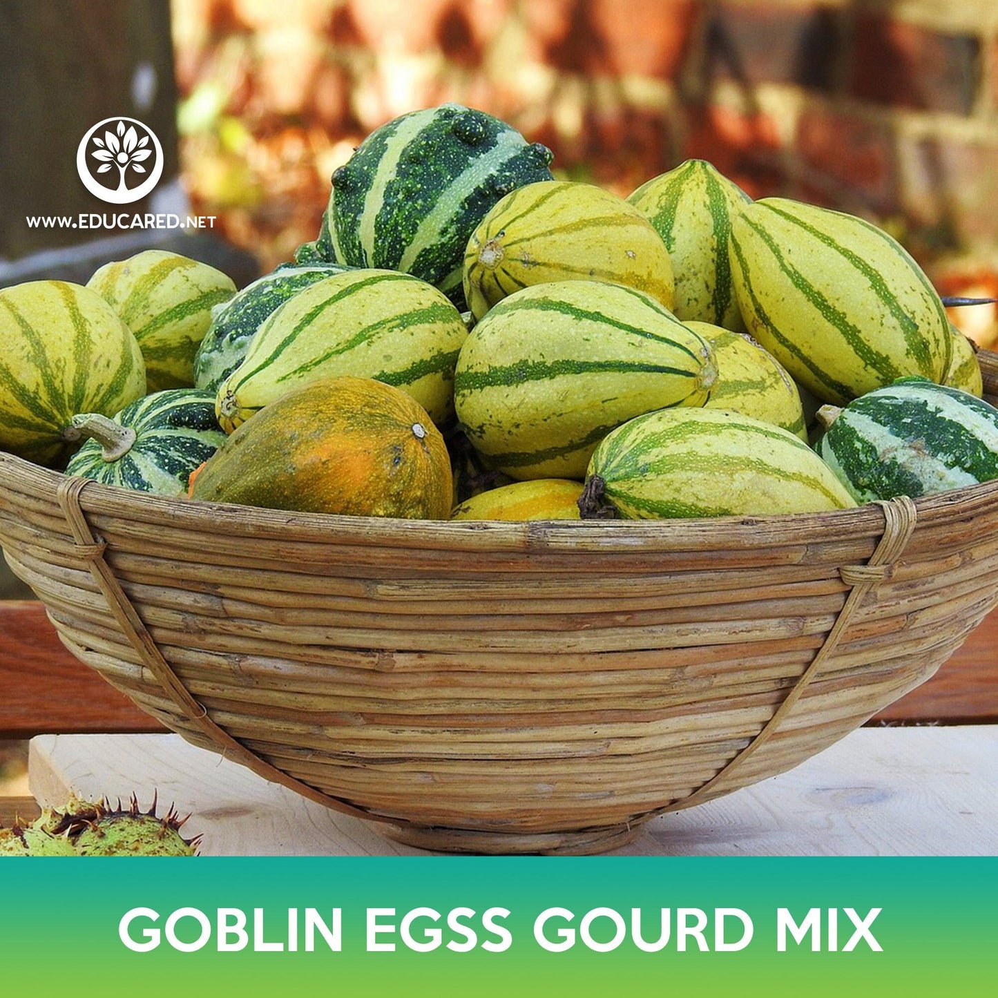 Goblin Eggs Gourd Mix Seeds