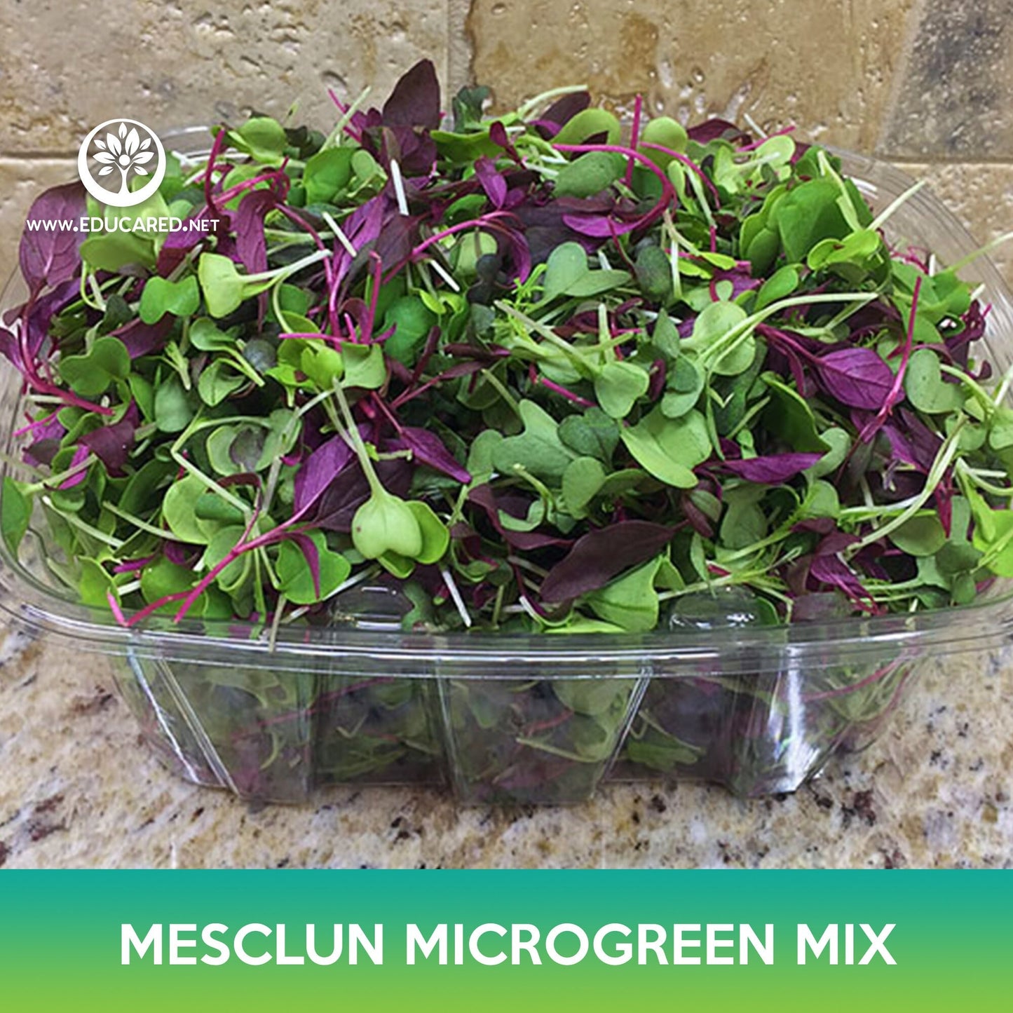 Mesclun Microgreen Mix Seeds