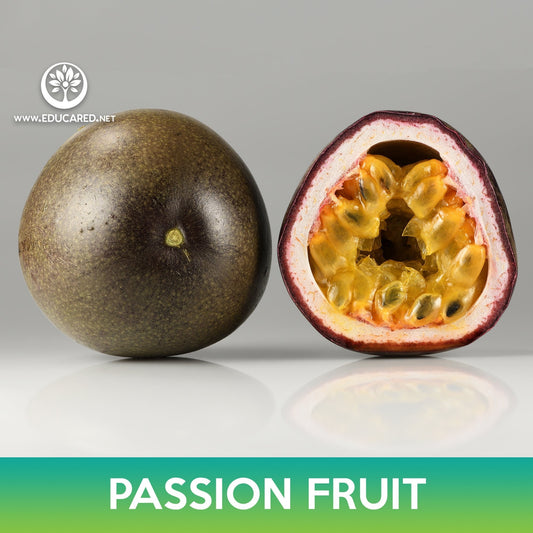 Passion Fruit Tree Seeds