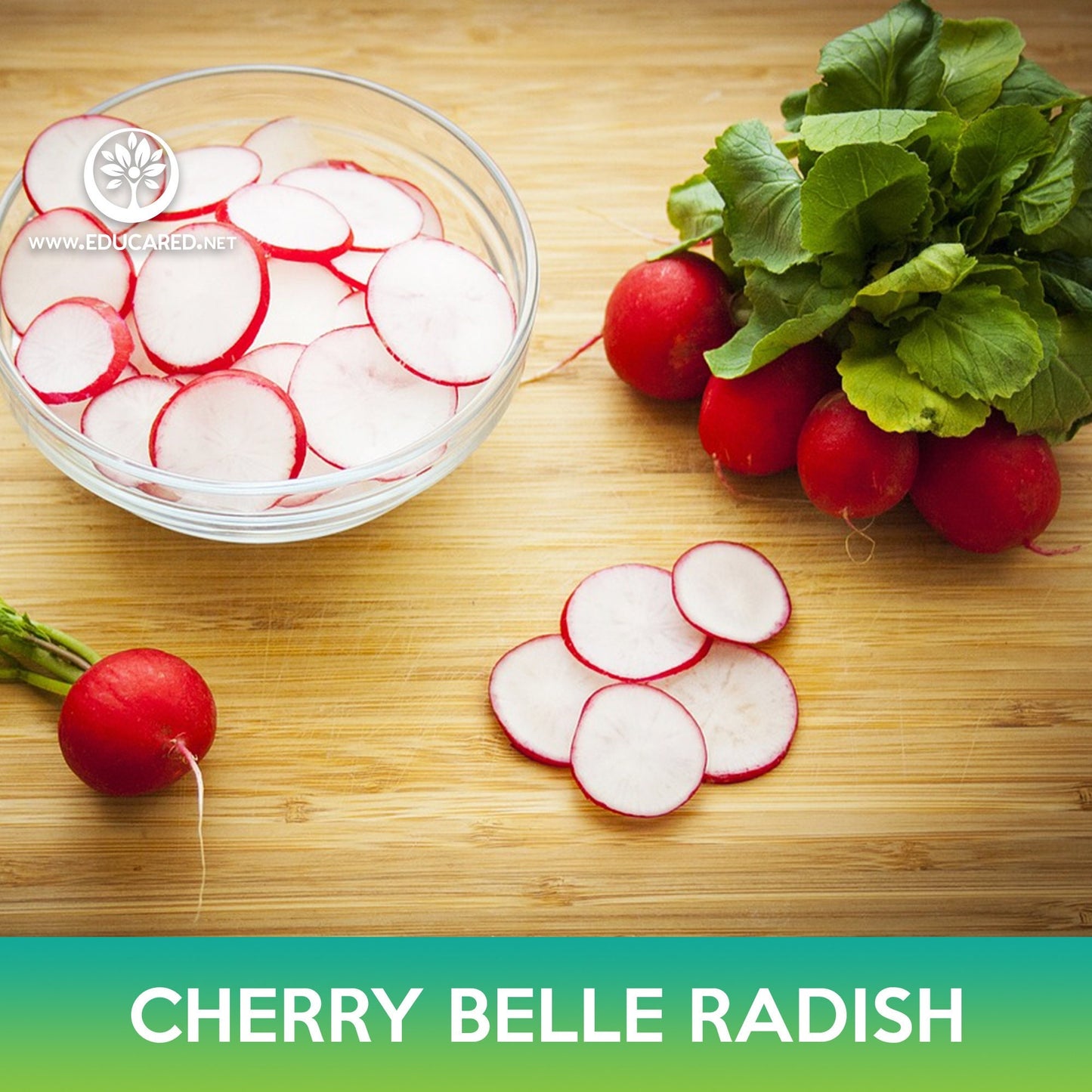 Cherry Belle Radish Seeds