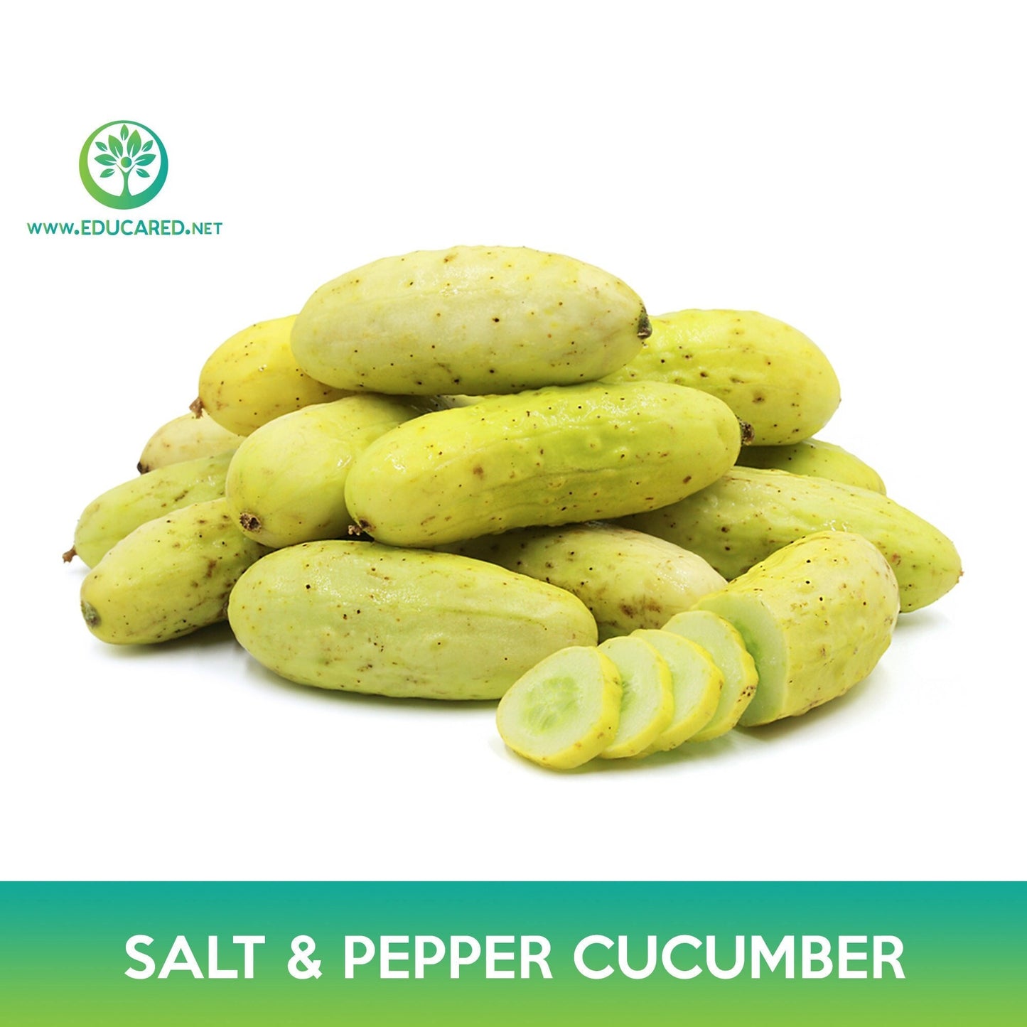 Salt and Pepper Cucumber Seeds