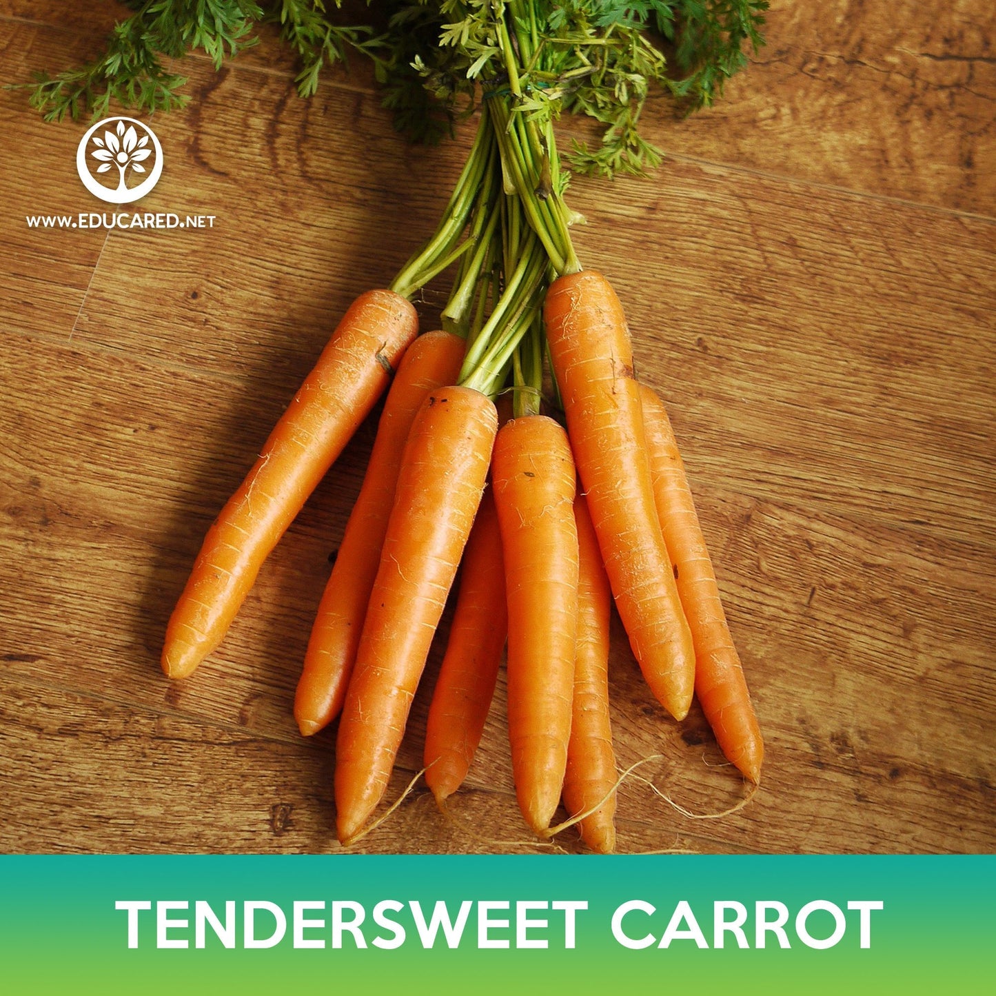 Tendersweet Carrot Seeds